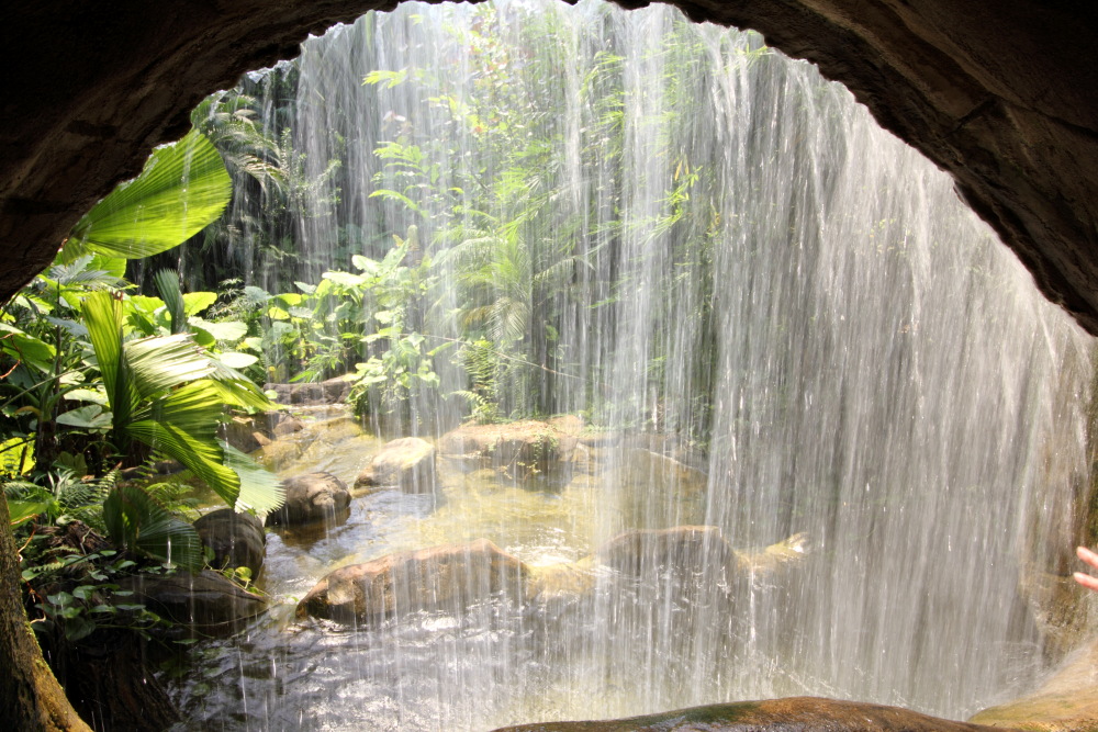 Lokation: Deutschland | Sachsen | Leipzig | Leipzig Kategorien: Gewächshaus, Datum: 01.07.2015