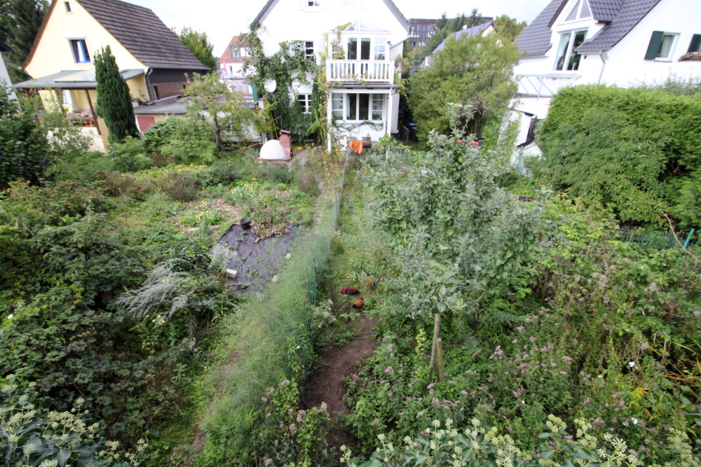 Lokation: Deutschland | Nordrhein-Westfalen | Bergisch Gladbach | Rodemich Kategorien: Permakultur, Datum: 20.09.2015