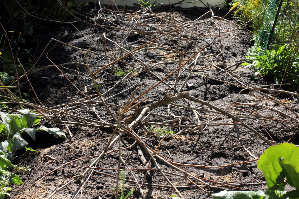 Lokation: Deutschland | Nordrhein-Westfalen | Bergisch Gladbach | Rodemich Kategorien: Bau, Naturgarten, Datum: 27.09.2015