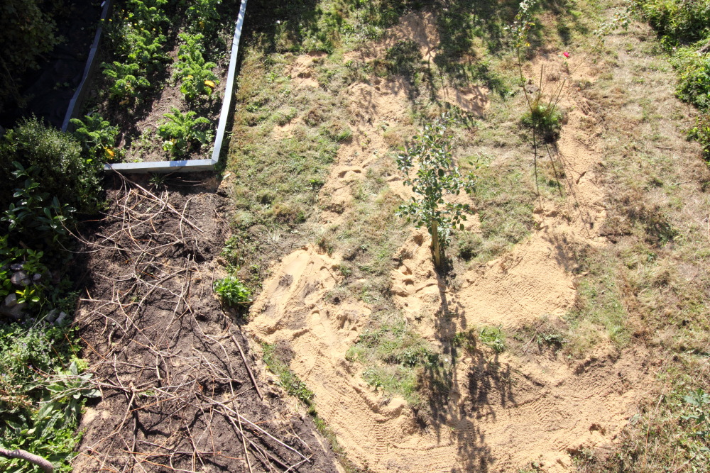 Lokation: Deutschland | Nordrhein-Westfalen | Bergisch Gladbach | Rodemich Kategorien: Bau, Naturgarten, Datum: 03.10.2015