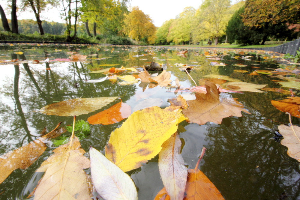 Kategorien: Herbst, Datum: 23.10.2015