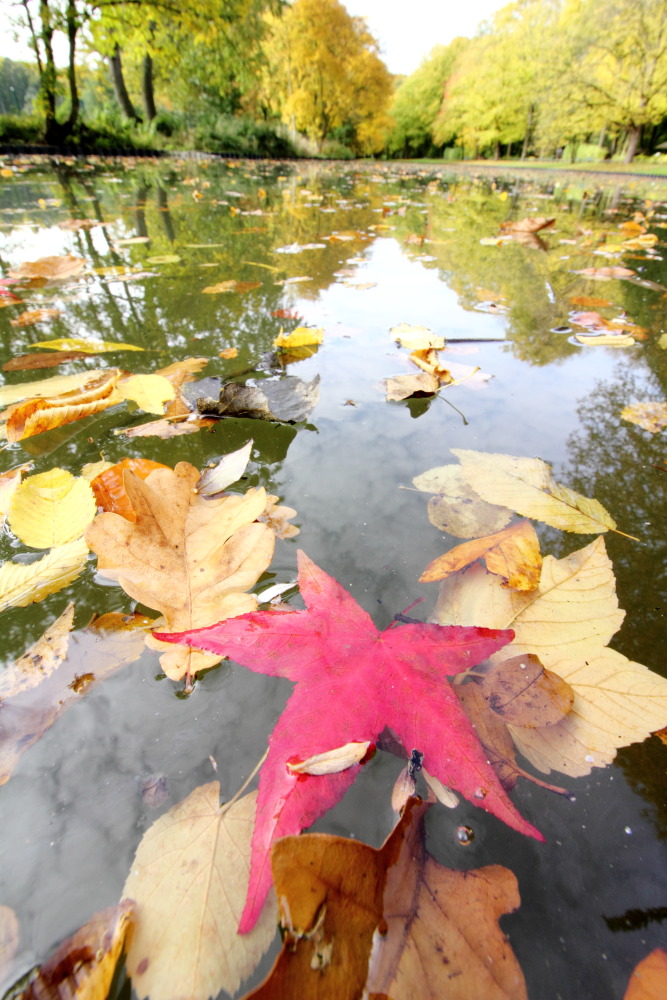 Kategorien: Herbst, Datum: 23.10.2015