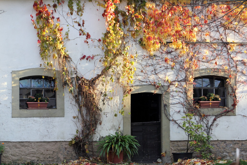 Lokation: Deutschland | Saarland | Mandelbachtal | Wolfersheim Kategorien: Dorf, Datum: 05.11.2015