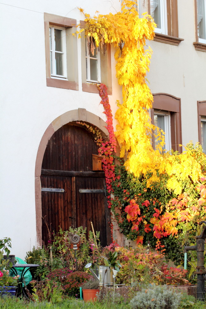 Lokation: Deutschland | Saarland | Mandelbachtal | Wolfersheim Kategorien: Dorf, Datum: 05.11.2015