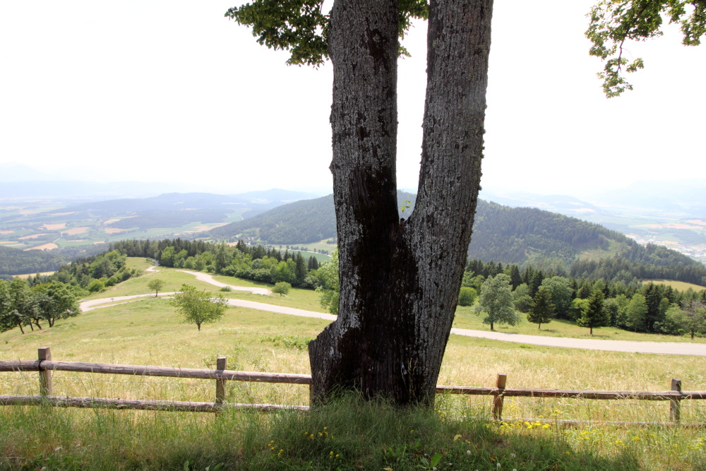 Lokation: Österreich | Kärnten | Gröblach | Gröblach Kategorien: Berge, Datum: 06.07.2015