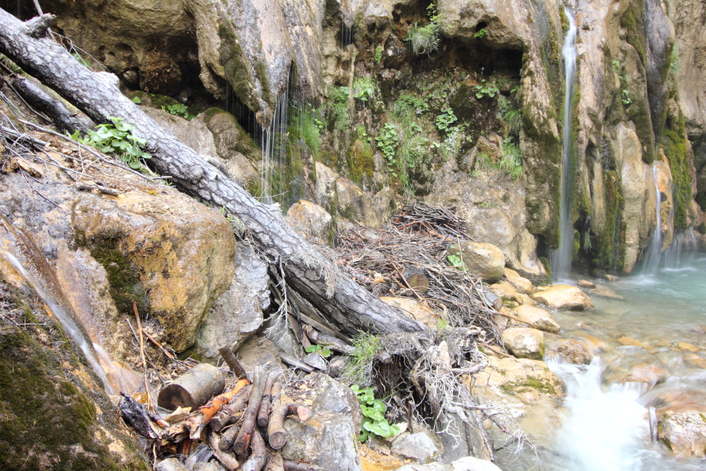 Lokation: Österreich | Kärnten | Windisch Bleiberg-Slovenji Pla | Sapotnica Kategorien: Wasserfall, Datum: 09.07.2015