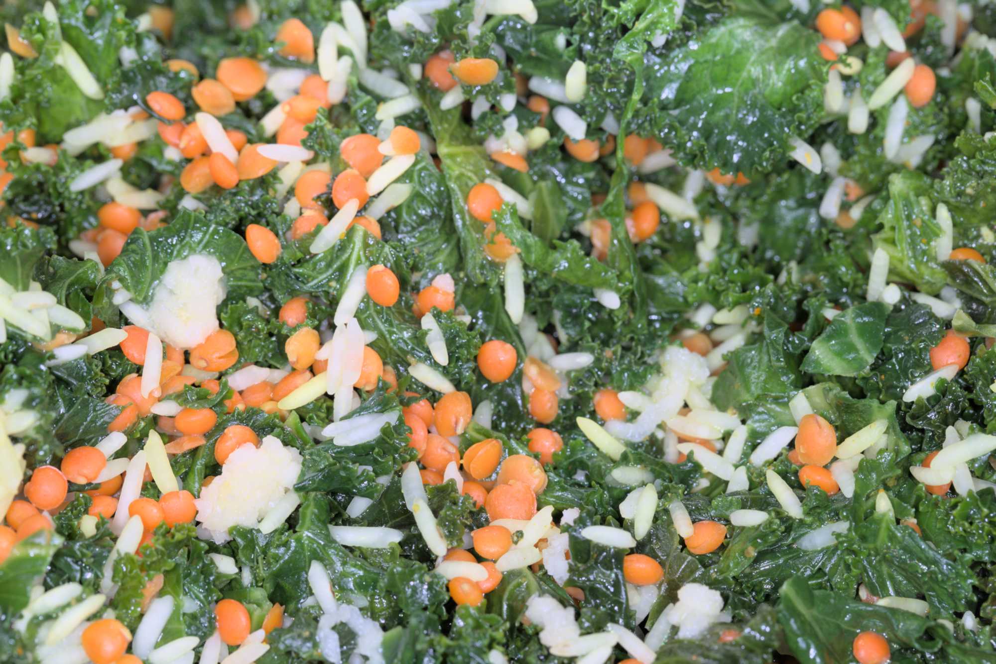 Lokation: Deutschland | Nordrhein-Westfalen | Rheinisch-Bergischer Kreis | Bergisch Gladbach Kategorien: Gerichte, Datum: 24.04.2016