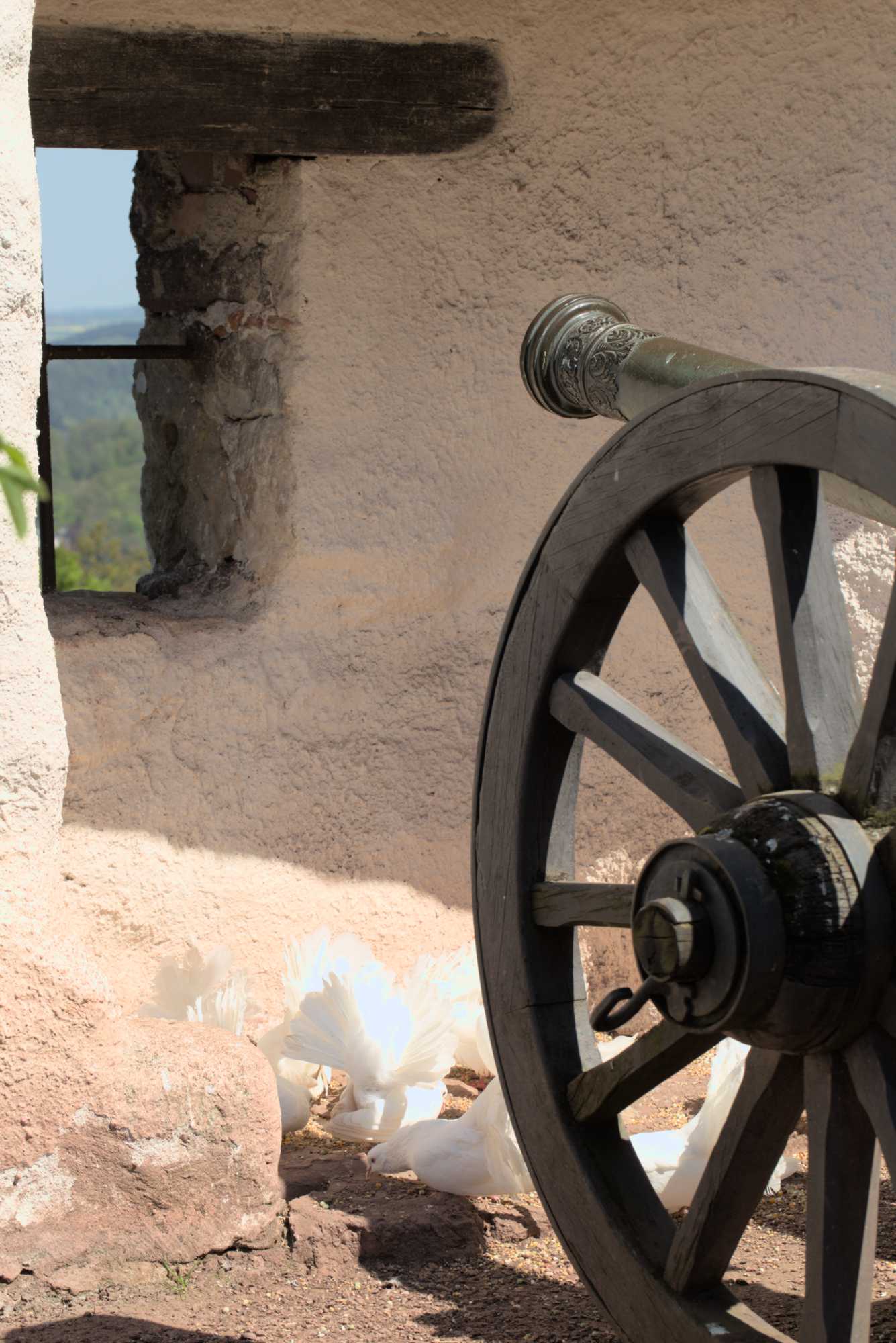 Lokation: Deutschland | Thüringen | Wartburgkreis | Eisenach Kategorien: Vögel, Burg, Datum: 07.05.2016