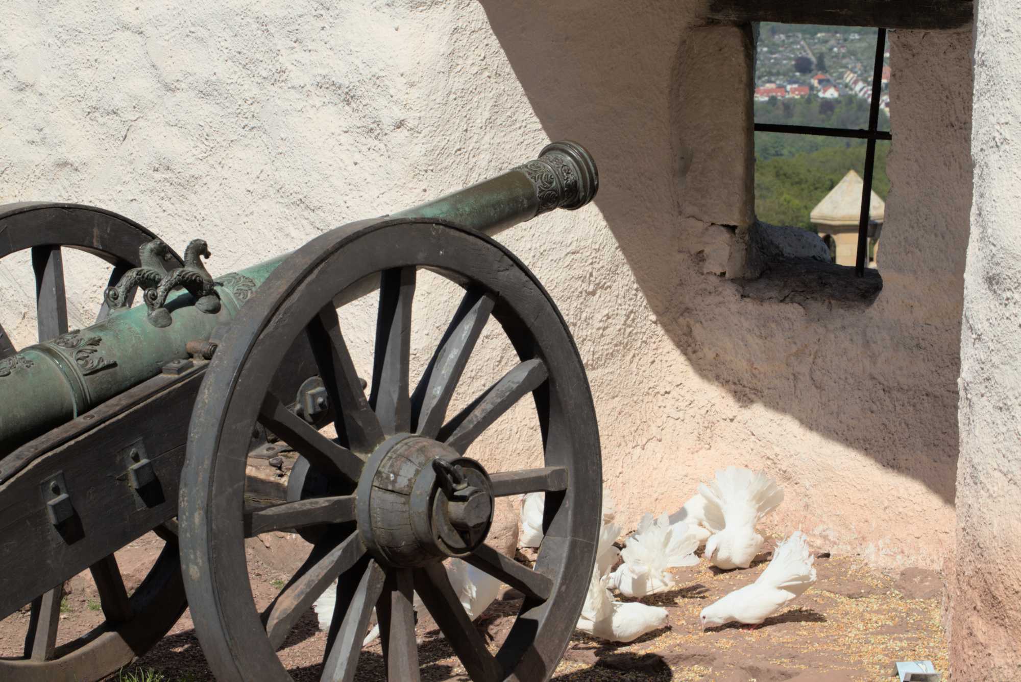 Lokation: Deutschland | Thüringen | Wartburgkreis | Eisenach Kategorien: Vögel, Burg, Datum: 07.05.2016