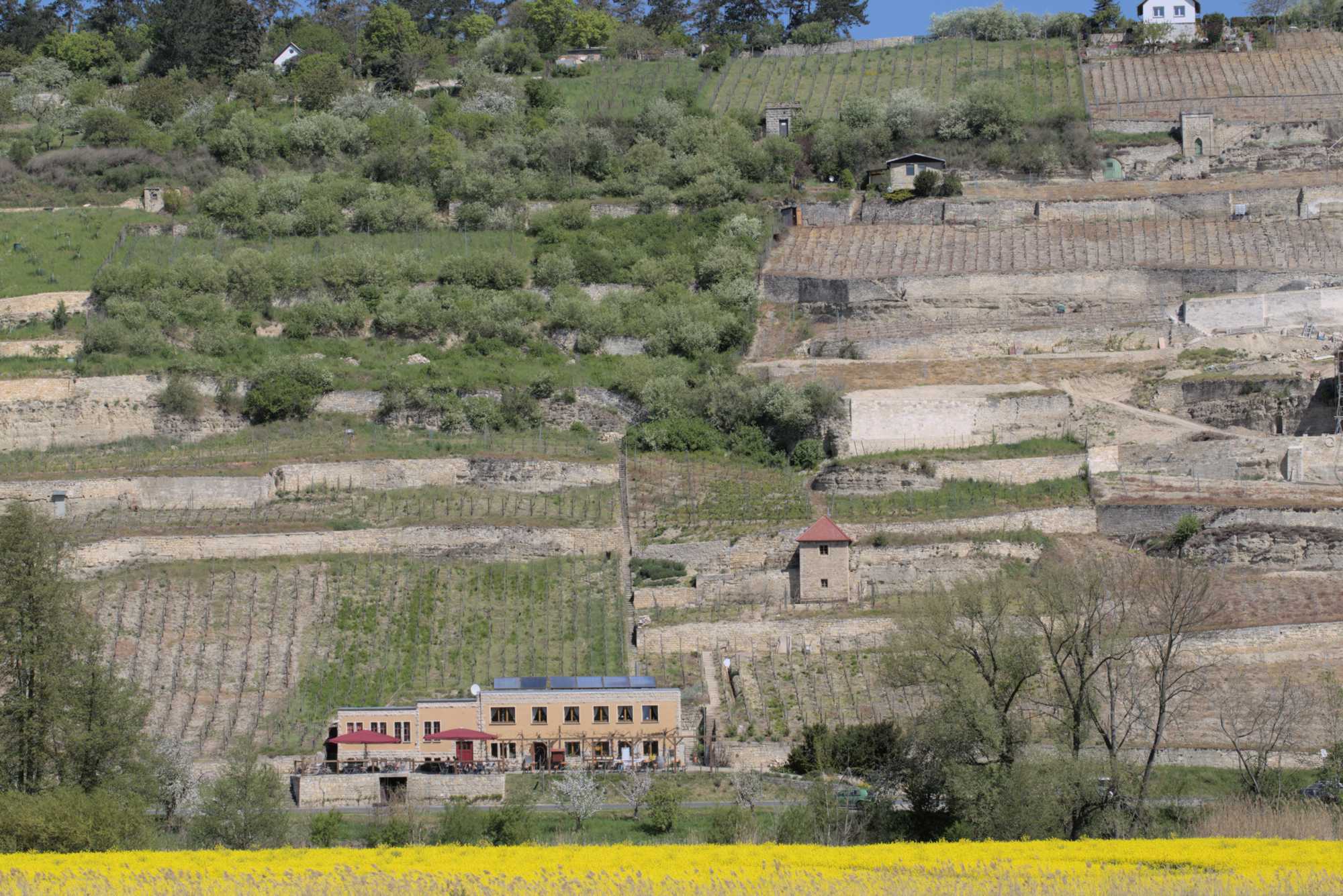 Lokation: Deutschland | Sachsen-Anhalt | Burgenlandkreis | Unstruttal Kategorien: Landwirtschaft, Datum: 08.05.2016