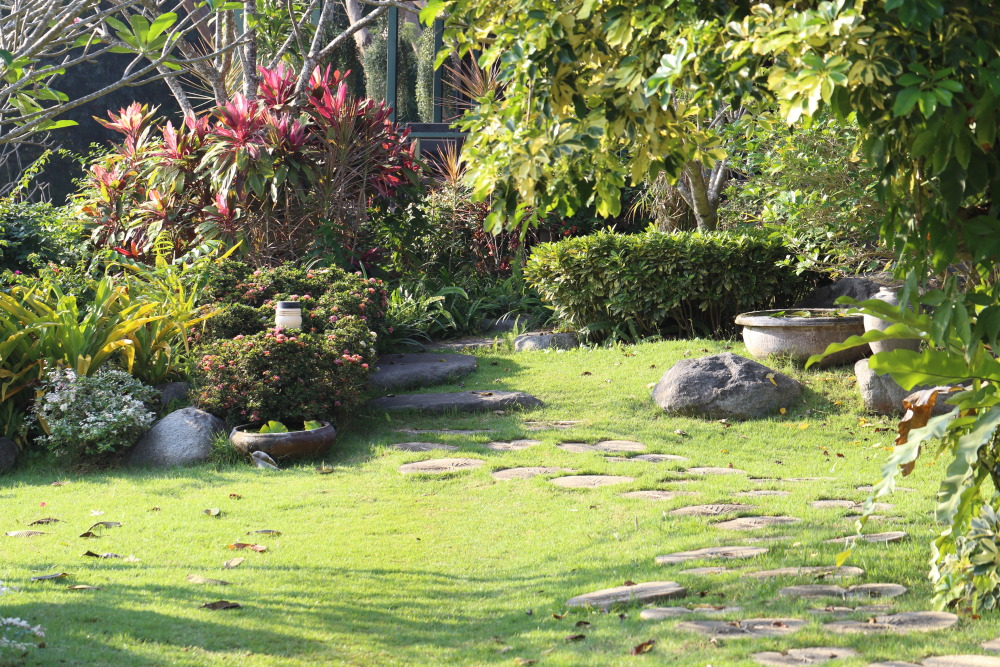 Lokation: Thailand | Nakhon Ratchasima | Pak Chong | Ban Khlong Chai Kategorien: Garten, Datum: 01.02.2016