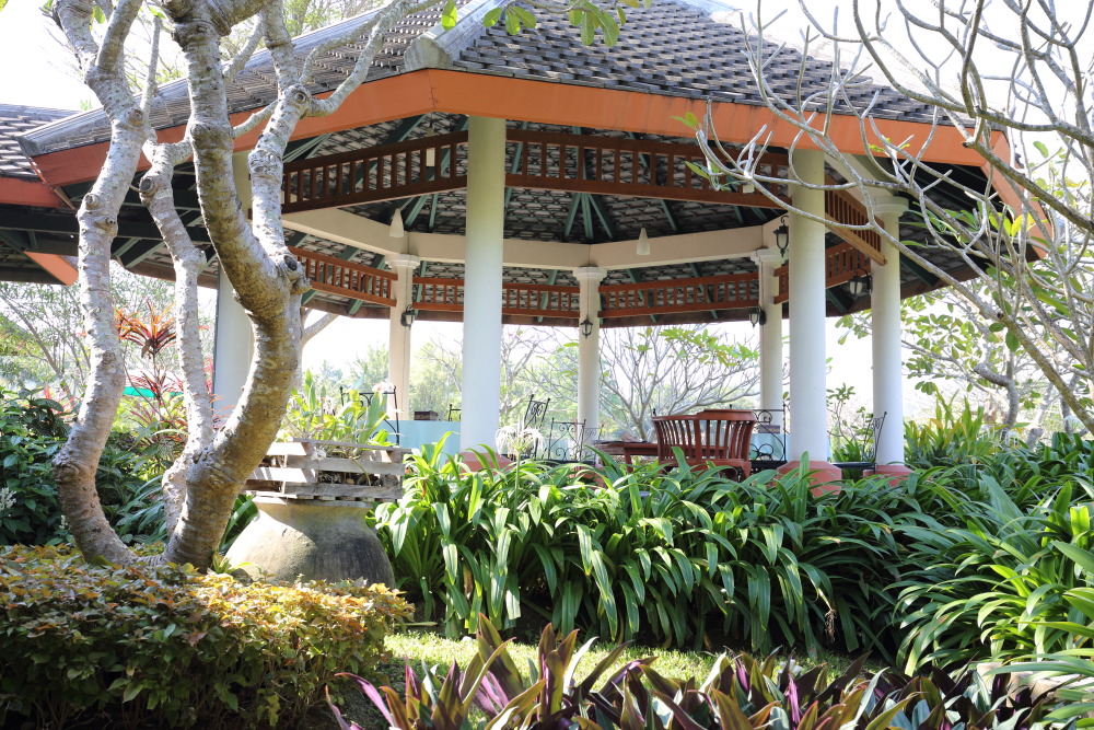 Lokation: Thailand | Nakhon Ratchasima | Pak Chong | Ban Khlong Chai Kategorien: Garten, Datum: 01.02.2016