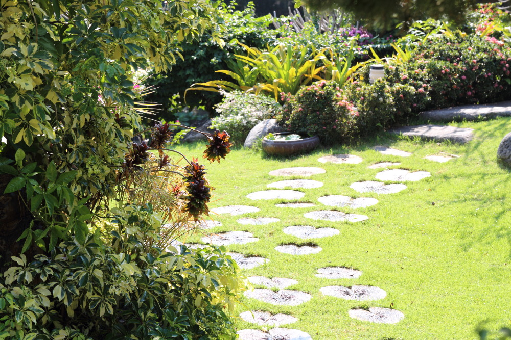 Lokation: Thailand | Nakhon Ratchasima | Pak Chong | Ban Khlong Chai Kategorien: Garten, Datum: 01.02.2016