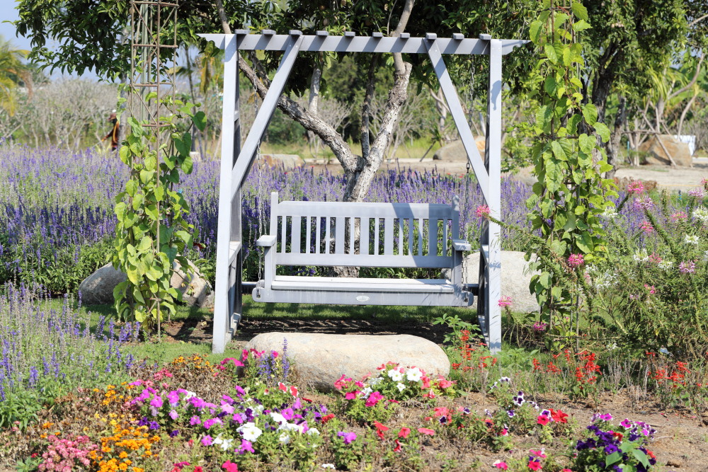 Lokation: Thailand | Nakhon Ratchasima | Pak Chong | Ban Khlong Chai Kategorien: Garten, Datum: 01.02.2016