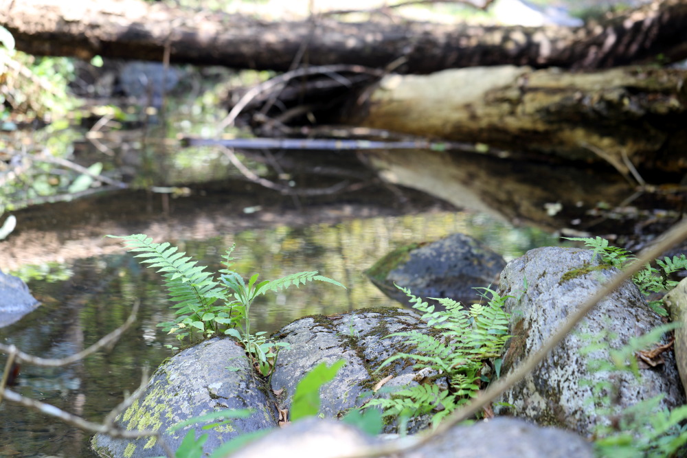 Lokation: Thailand | Phetchaburi | Ban Krang Kategorien: Fluss, Datum: 08.02.2016