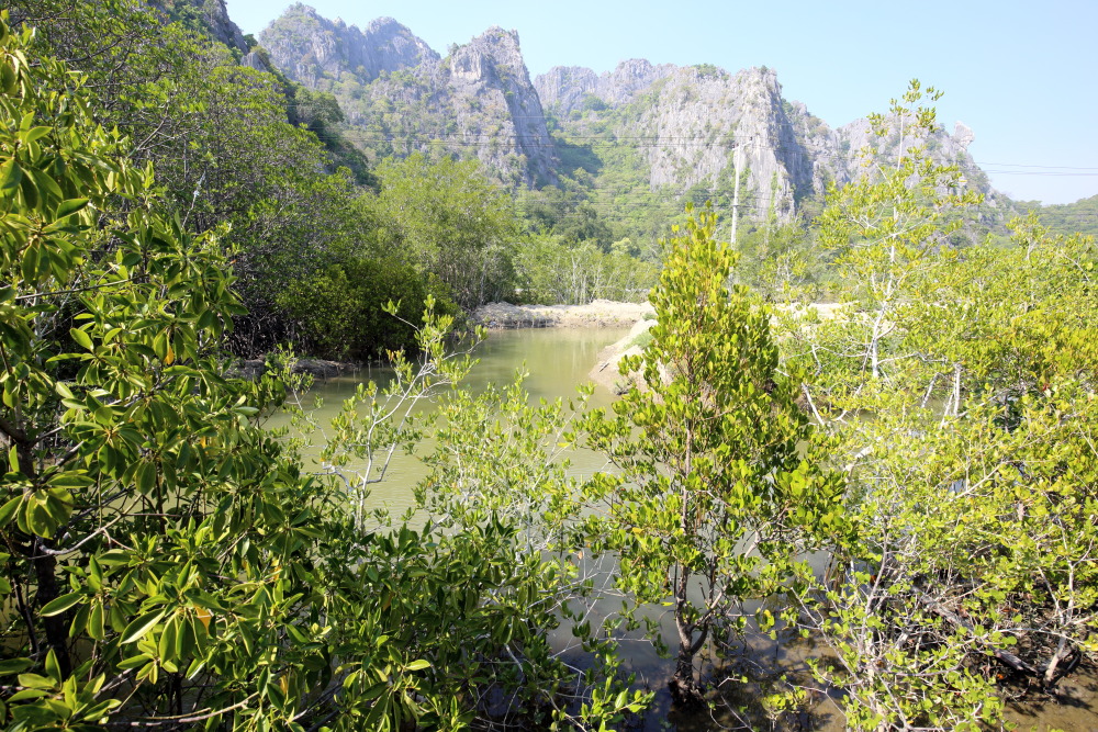 Lokation: Thailand | Prachuap Khirikhan | Kui Buri | Ban Khao Daeng Kategorien: Berge, Datum: 10.02.2016