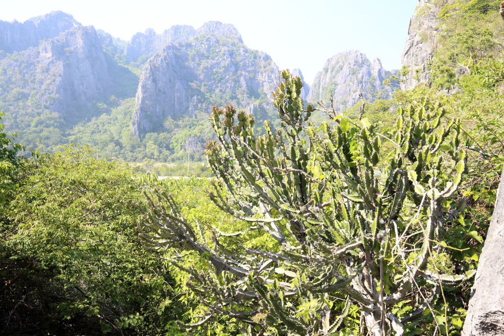 Lokation: Thailand | Prachuap Khirikhan | Kui Buri | Ban Khao Daeng Kategorien: Berge, Datum: 10.02.2016