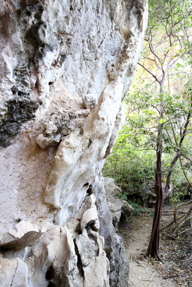 Lokation: Thailand | Prachuap Khirikhan | Kui Buri | Ban Khao Daeng Kategorien: Felsen, Datum: 10.02.2016