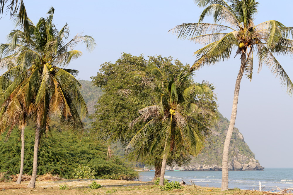 Lokation: Thailand | Prachuap Khirikhan | Kui Buri | Ban Khao Daeng Kategorien: Strand, Datum: 10.02.2016