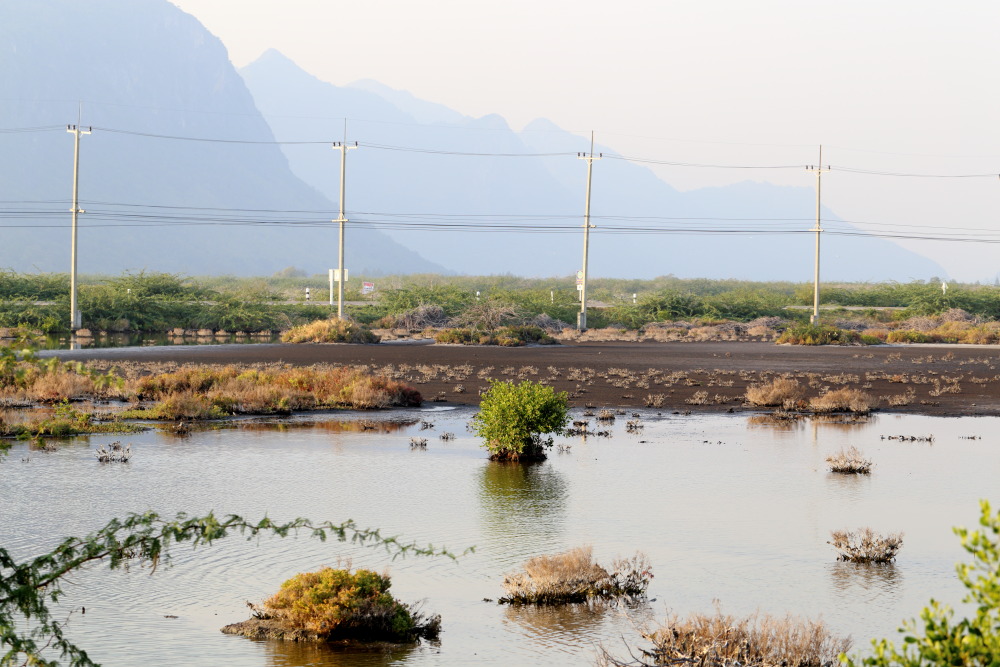 Lokation: Thailand | Prachuap Khirikhan | Kui Buri | Ban Khao Daeng Kategorien: Lagune, Datum: 10.02.2016