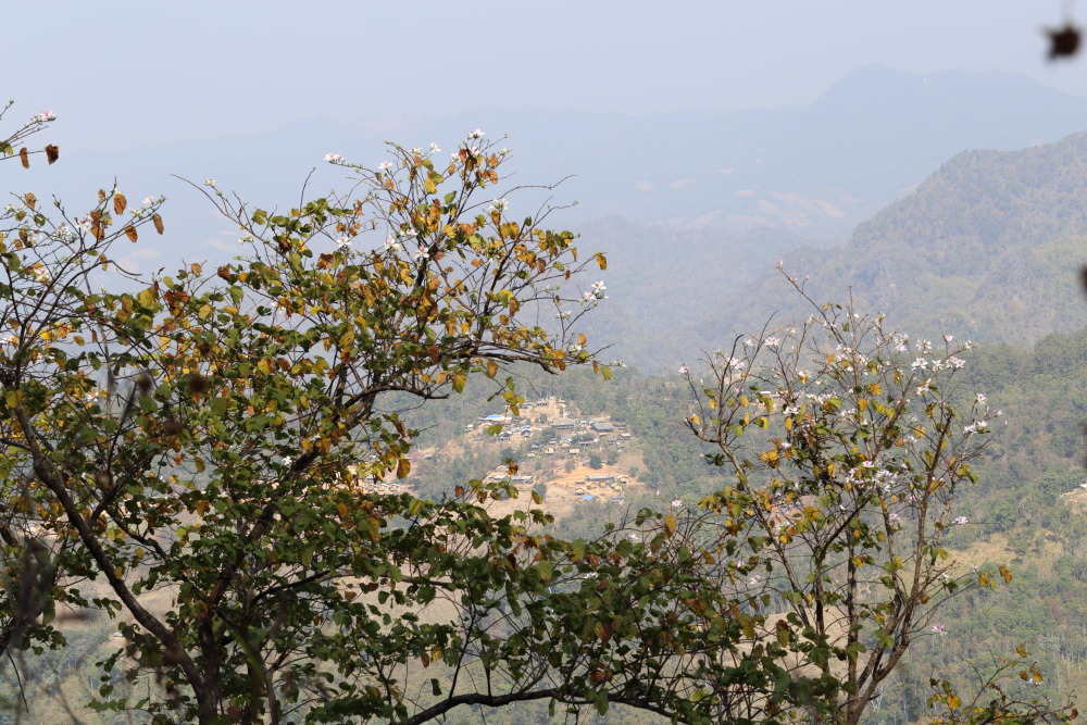 Lokation: Thailand | Chiang Mai | Chiang Dao | Ban Na Lao Mai Kategorien: Dorf, Datum: 17.02.2016