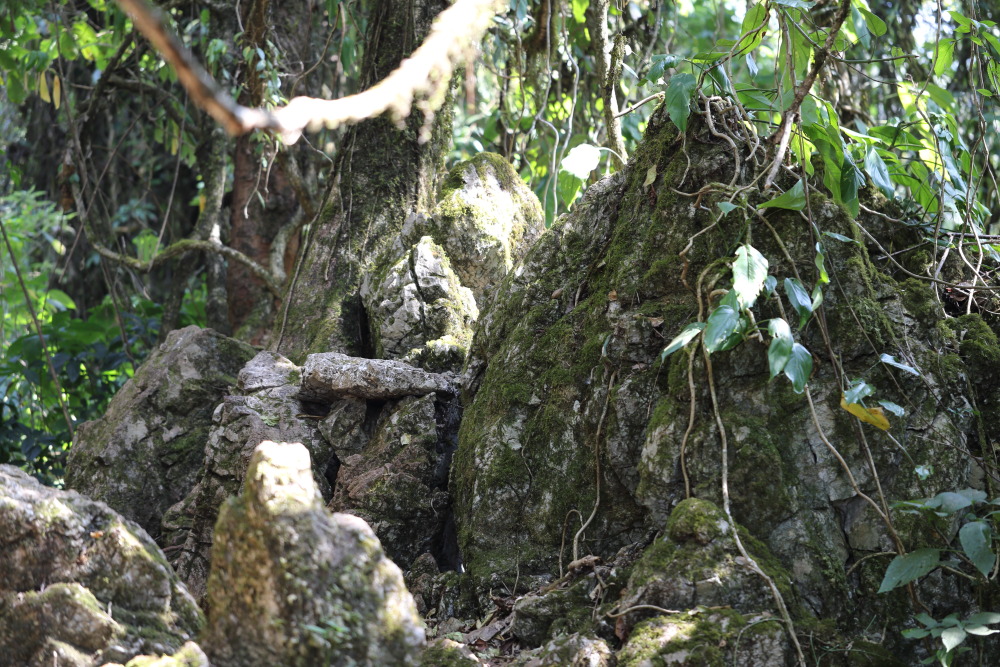 Lokation: Thailand | Chiang Mai | Chiang Dao | Ban Pa Miang Nam Ka Kategorien: Felsen, Datum: 17.02.2016