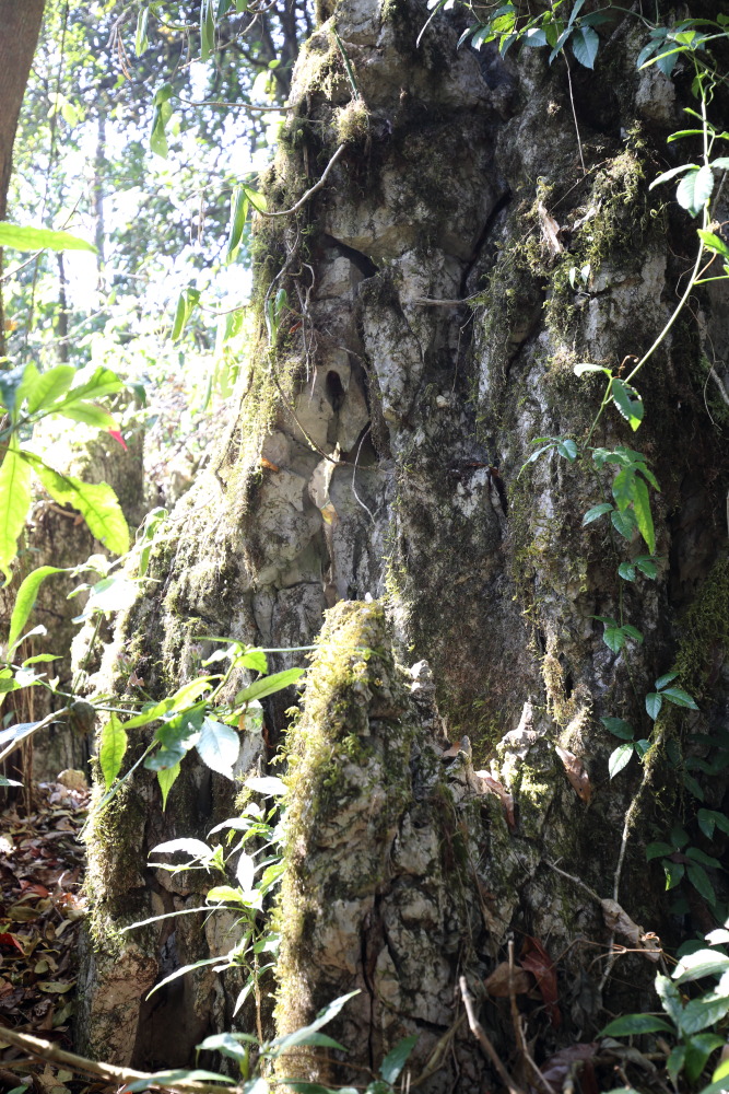 Lokation: Thailand | Chiang Mai | Chiang Dao | Ban Pa Miang Nam Ka Kategorien: Felsen, Datum: 17.02.2016