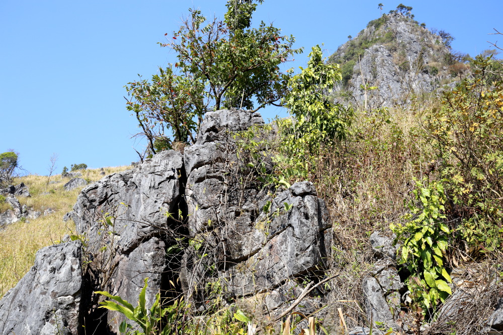 Lokation: Thailand | Chiang Mai | Chiang Dao | Ban Na Lao Mai Kategorien: Felsen, Datum: 17.02.2016