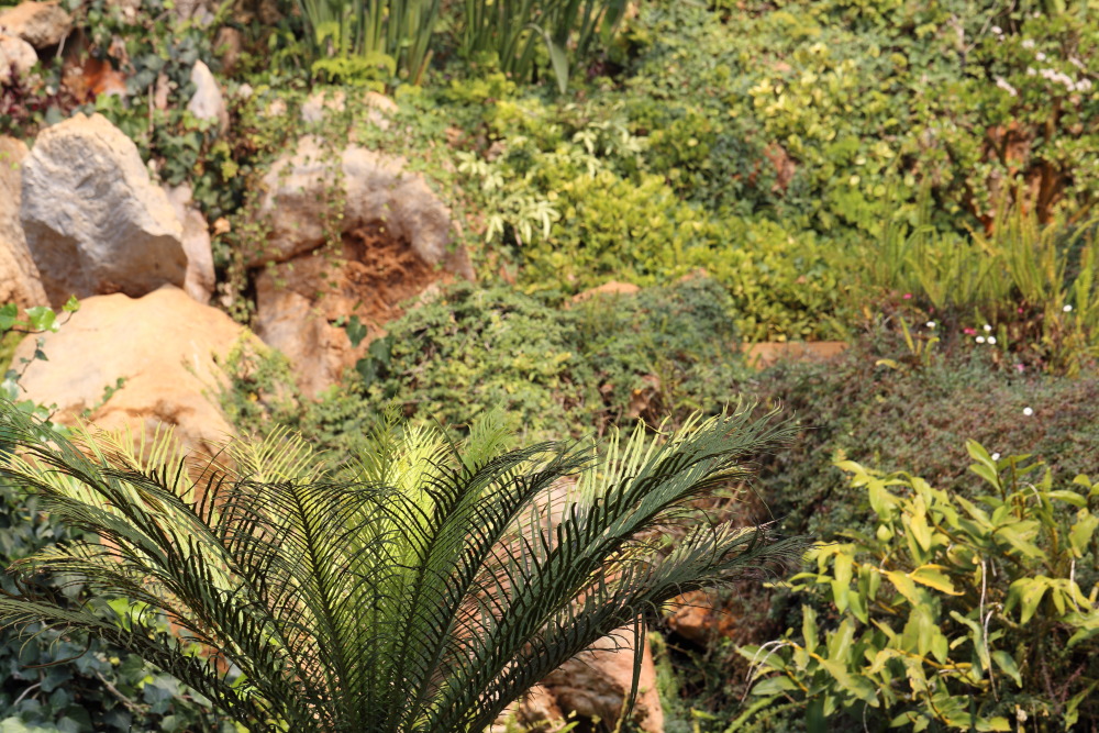 Lokation: Thailand | Chiang Mai | Fang | Ban Khum Kategorien: Gewächshaus, Datum: 18.02.2016