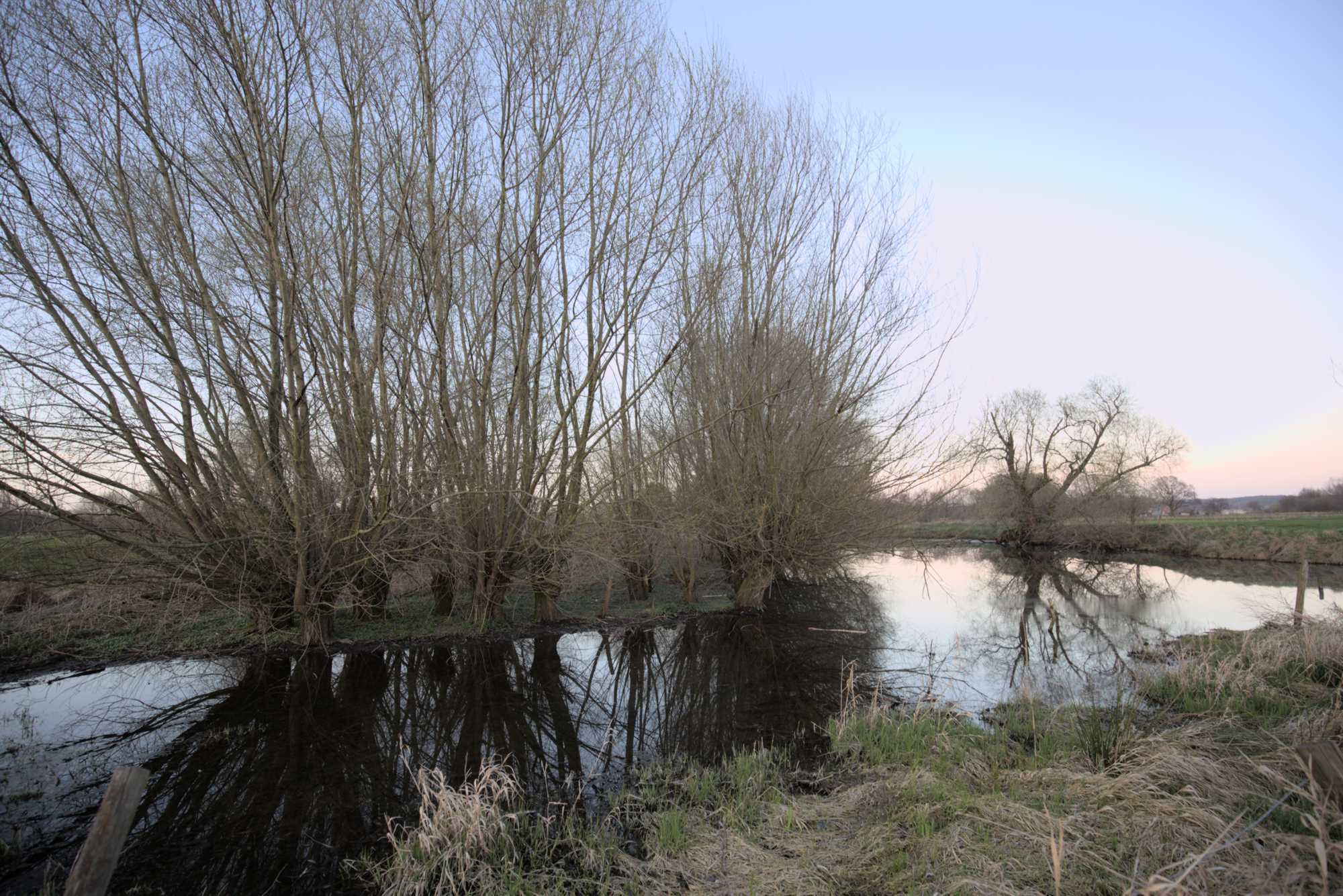 Lokation: Deutschland | Nordrhein-Westfalen | Heinsberg | Wassenberg Kategorien: Altarm, Datum: 15.03.2017
