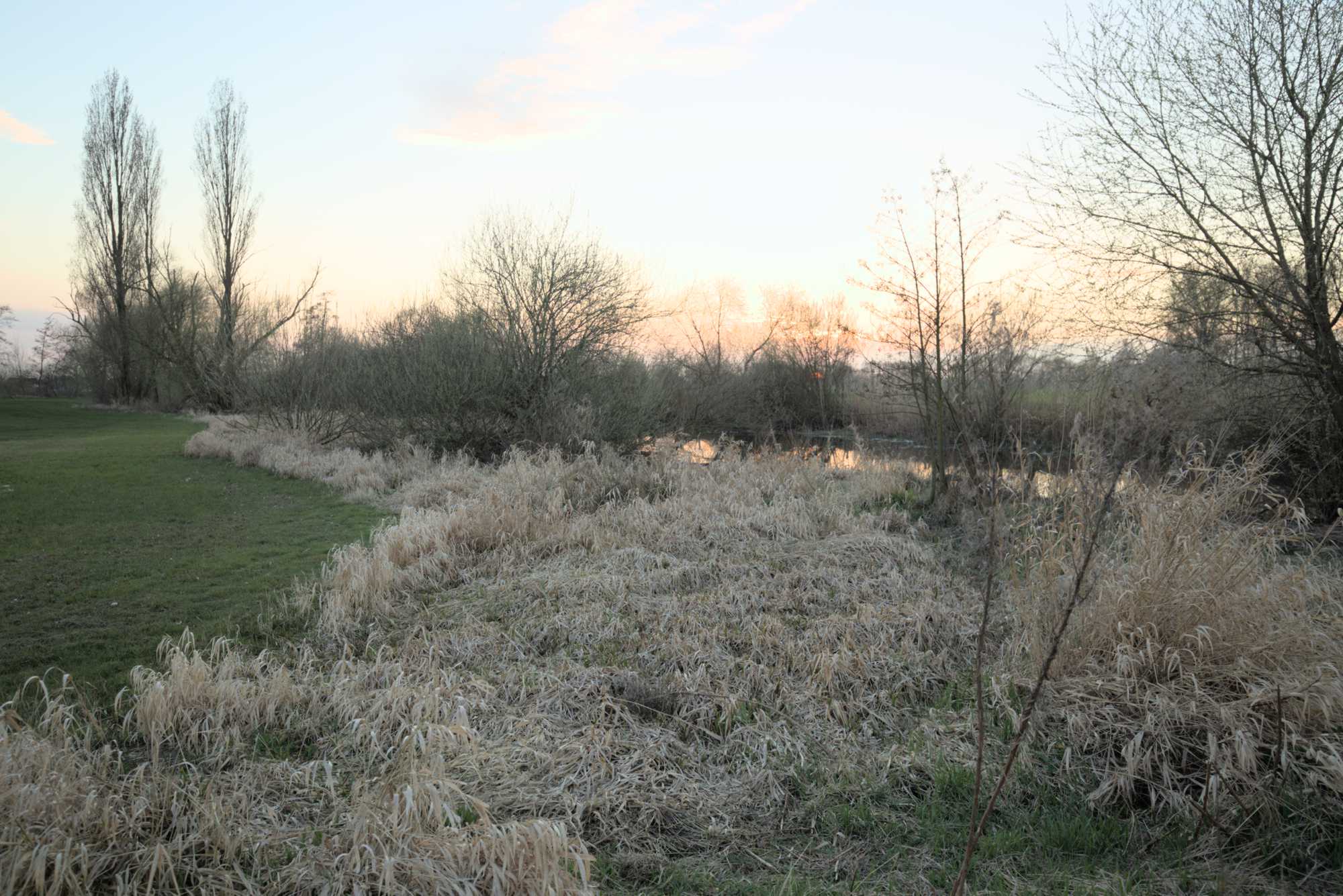 Lokation: Deutschland | Nordrhein-Westfalen | Heinsberg | Wassenberg Kategorien: Altarm, Datum: 15.03.2017