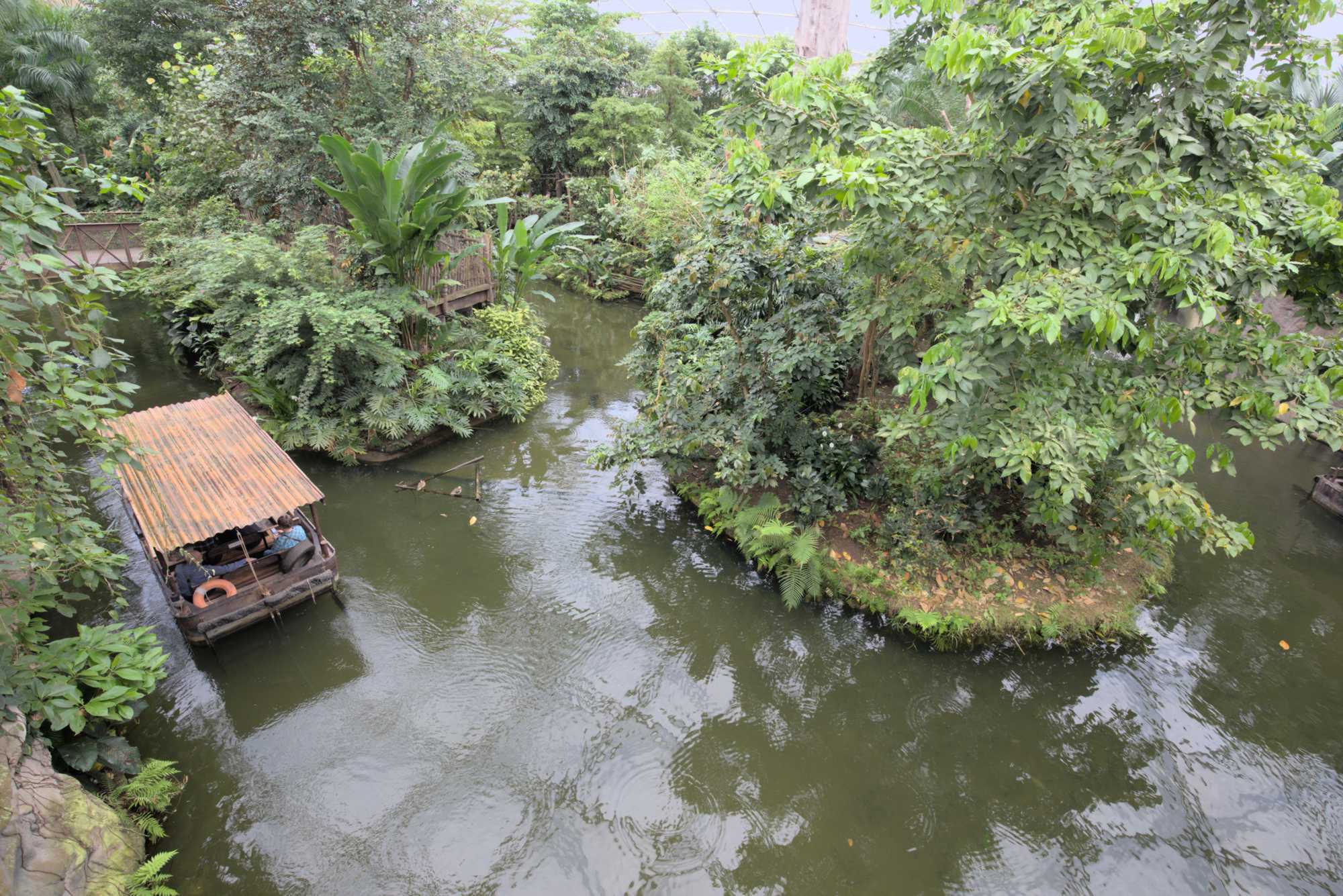 Lokation: Deutschland | Sachsen | Leipzig | Gondwanaland Kategorien: Gewächshaus, Datum: 18.03.2017