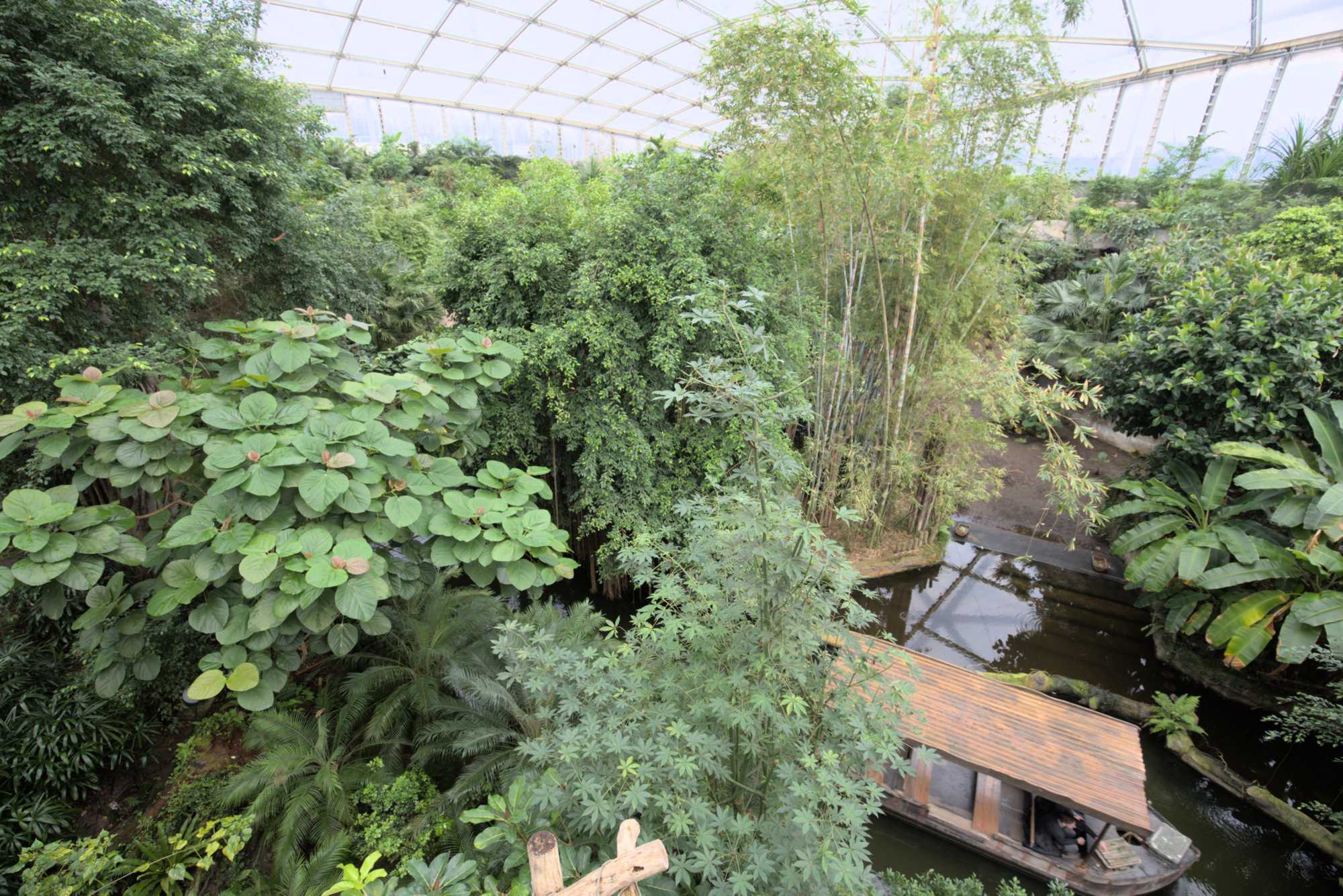 Lokation: Deutschland | Sachsen | Leipzig | Gondwanaland Kategorien: Gewächshaus, Datum: 18.03.2017