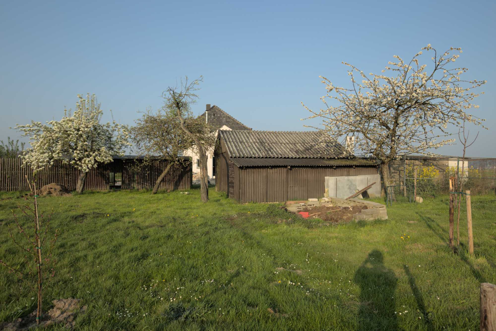 Lokation: Deutschland | Nordrhein-Westfalen | Heinsberg | Wassenberg Kategorien: Wiese, Hortus rusticus, Datum: 08.04.2017