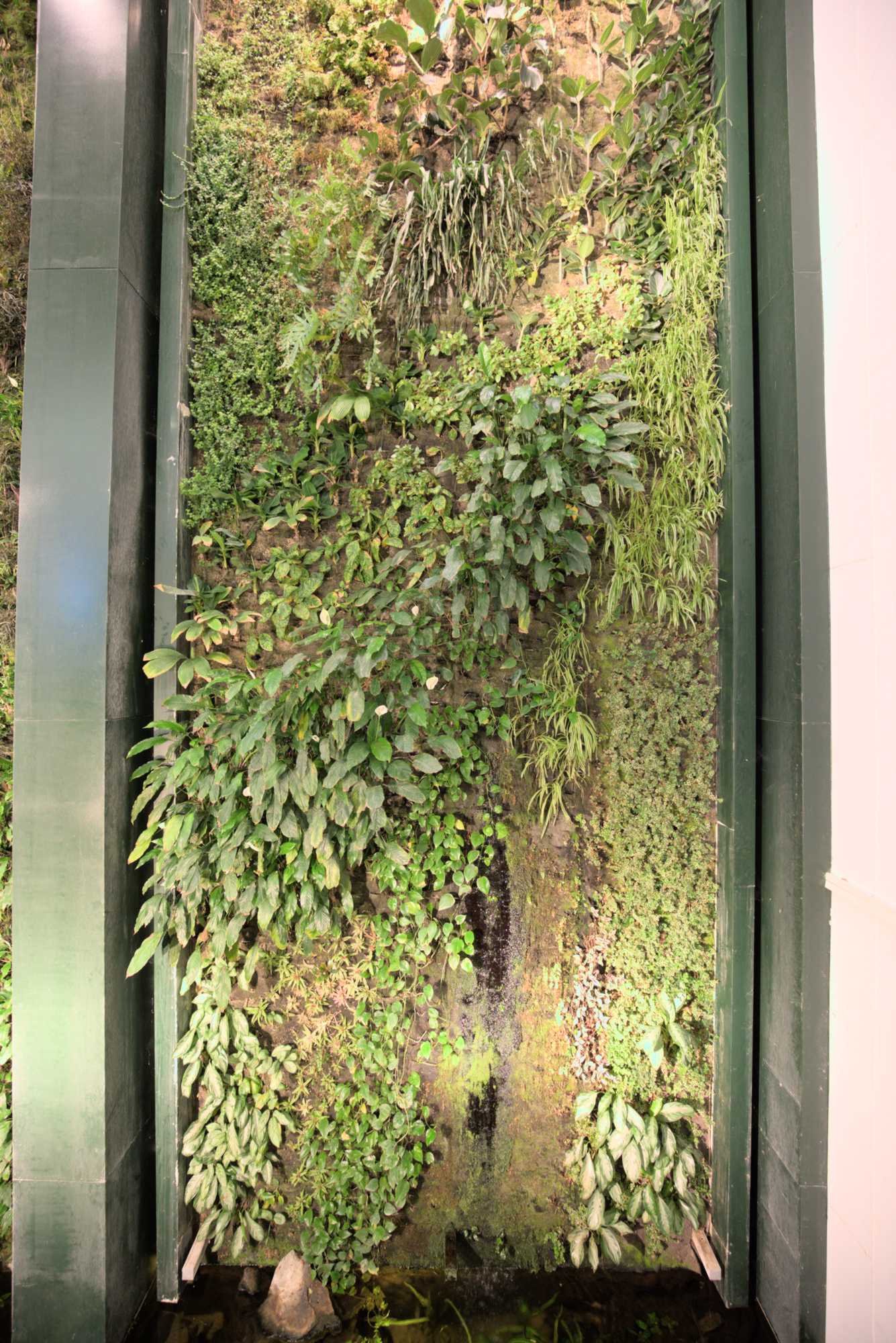 Lokation: Deutschland | Berlin | Mitte | KulturKaufhaus Kategorien: Pflanzenwand, Datum: 20.05.2017