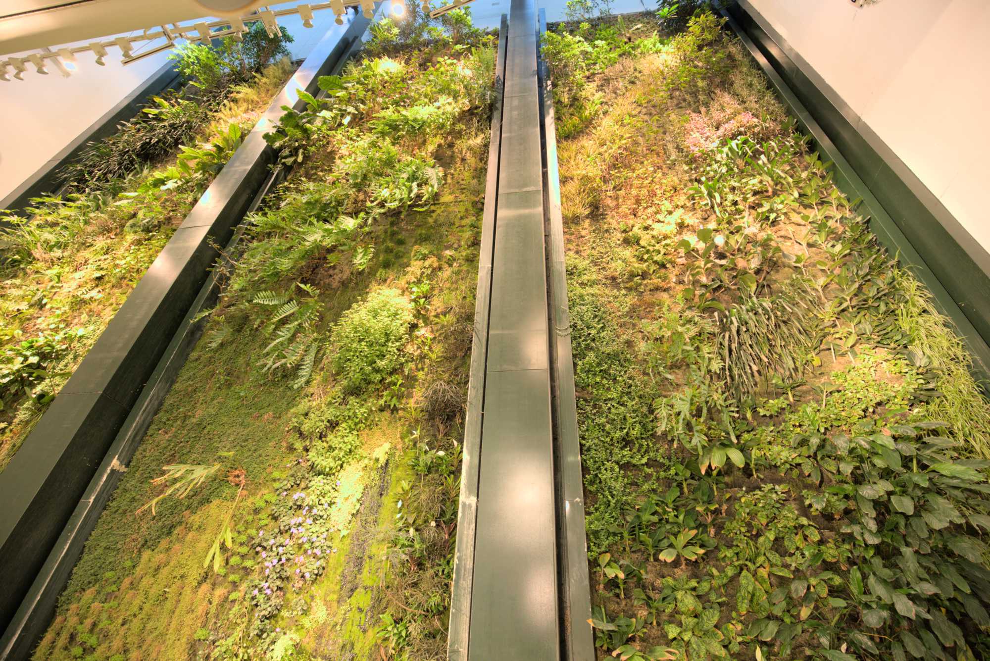 Lokation: Deutschland | Berlin | Mitte | KulturKaufhaus Kategorien: Pflanzenwand, Datum: 20.05.2017