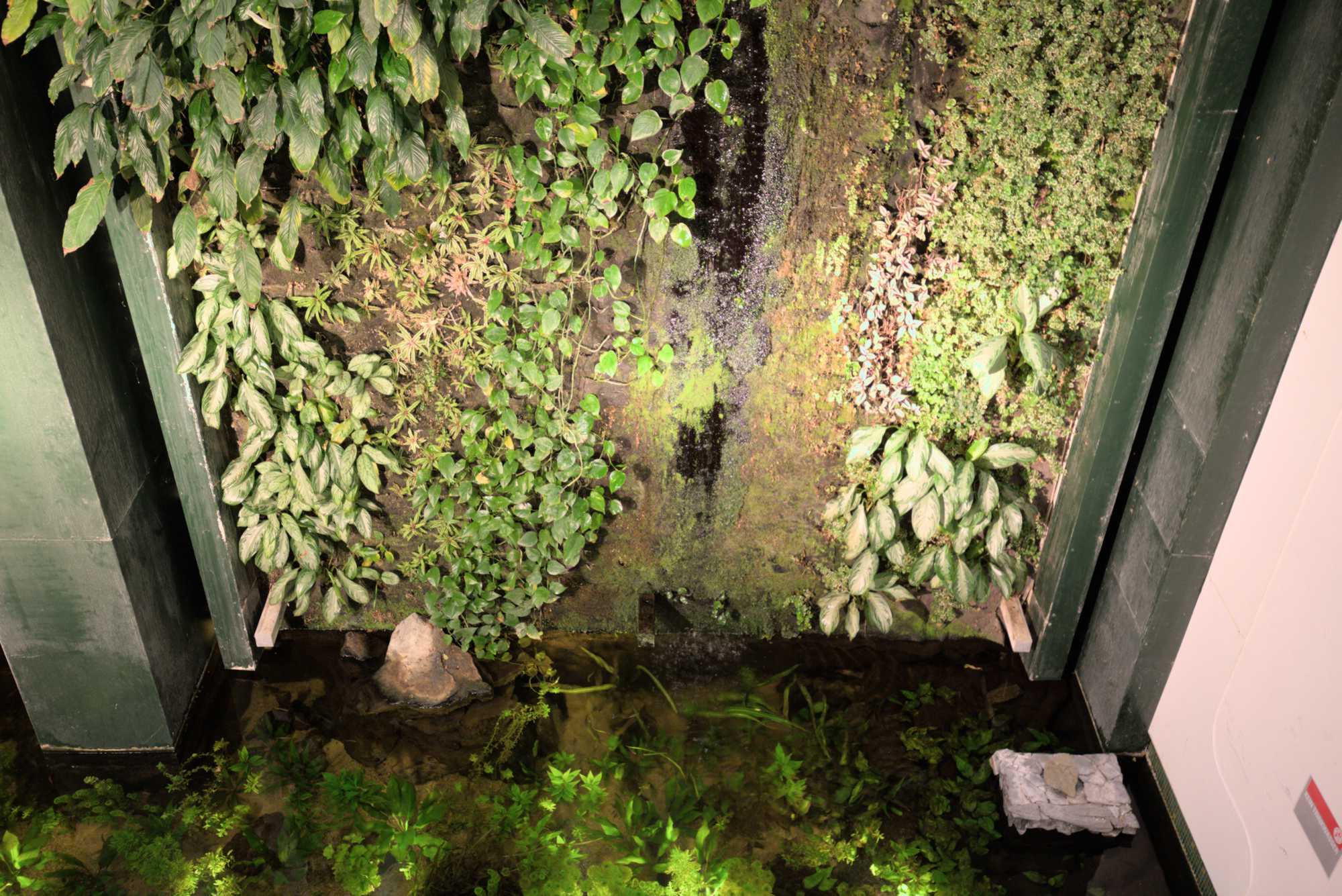 Lokation: Deutschland | Berlin | Mitte | KulturKaufhaus Kategorien: Pflanzenwand, Datum: 20.05.2017