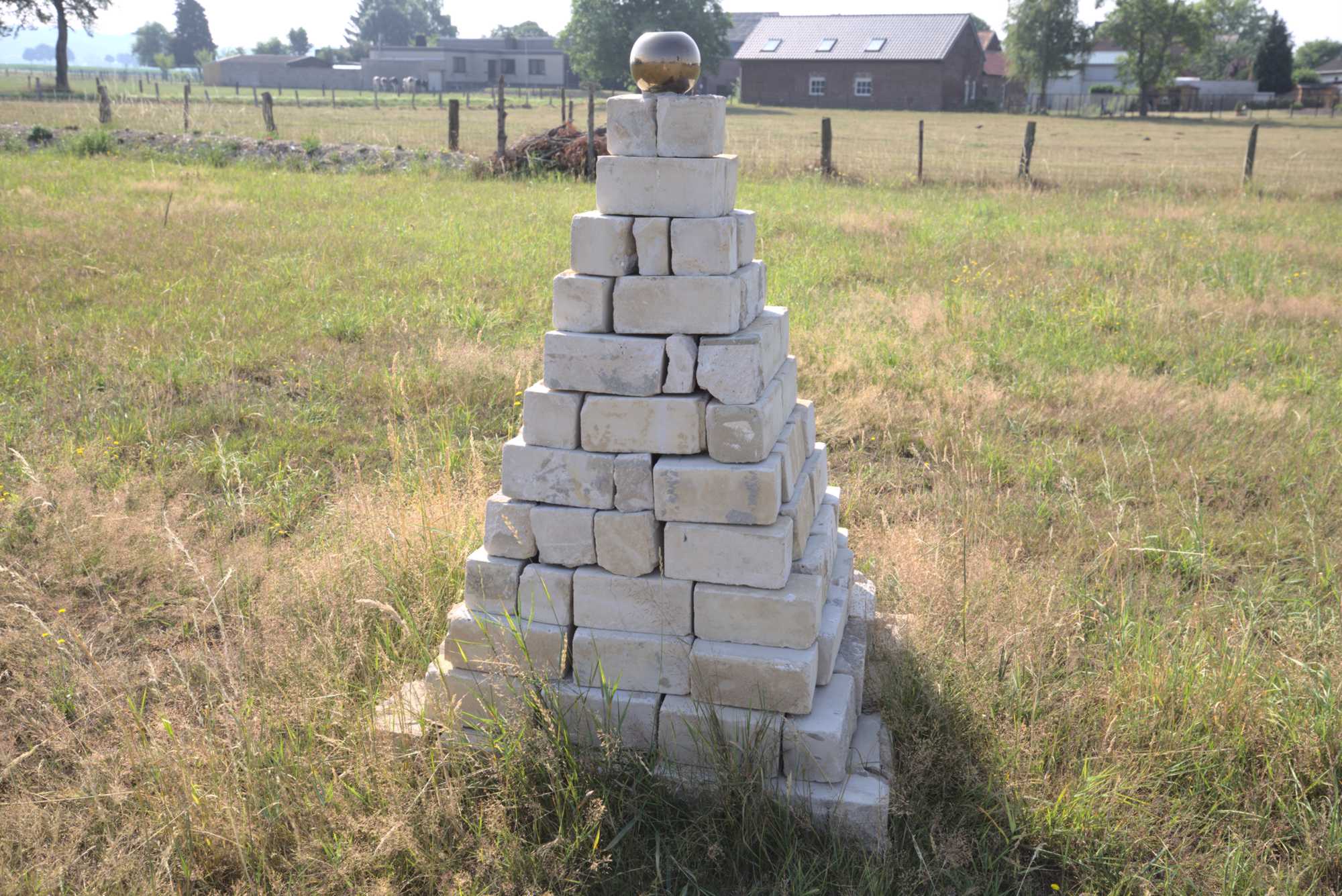 Lokation: Deutschland | Nordrhein-Westfalen | Heinsberg | Wassenberg Kategorien: Wiese, Hortus rusticus, Datum: 08.07.2017