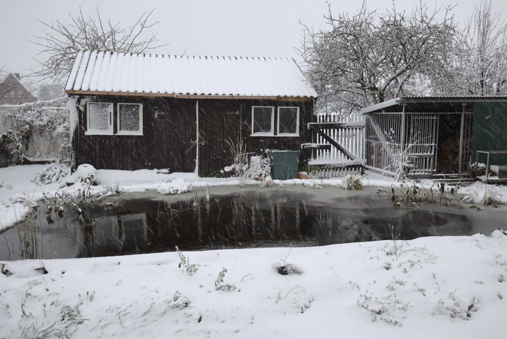 Lokation: Deutschland | Nordrhein-Westfalen | Heinsberg | Wassenberg Kategorien: Haus, Hortus rusticus, Datum: 10.12.2017