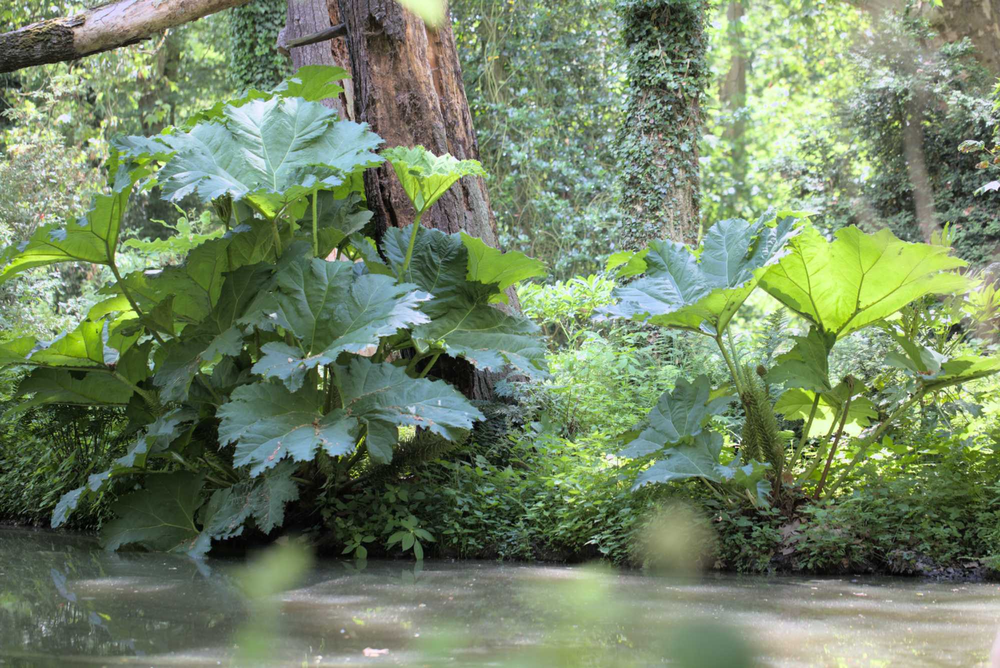 Lokation: Deutschland | Nordrhein-Westfalen | Neuss | Museum Insel Hombroich Kategorien: Museum, Datum: 21.06.2019