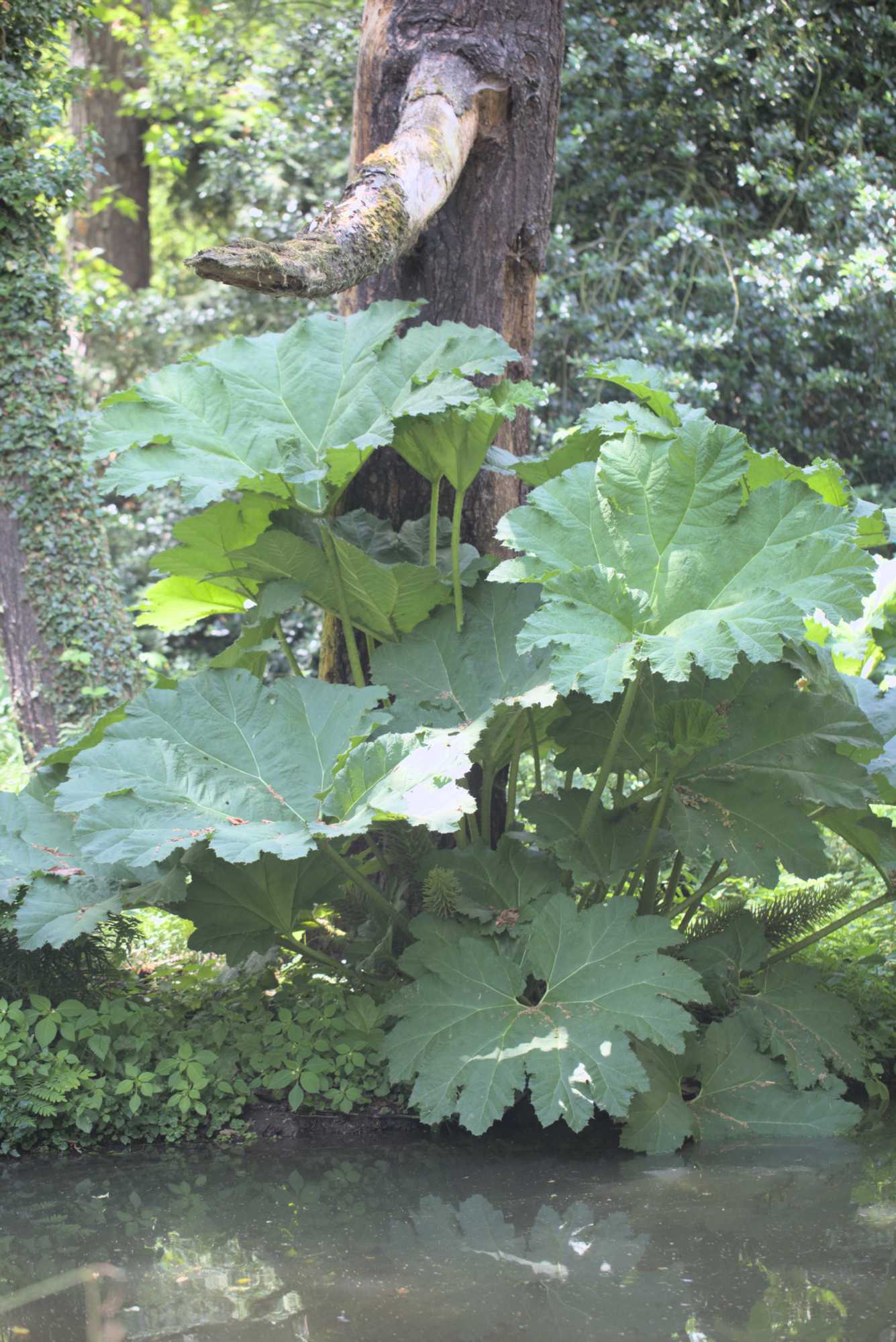 Lokation: Deutschland | Nordrhein-Westfalen | Neuss | Museum Insel Hombroich Kategorien: Museum, Datum: 21.06.2019