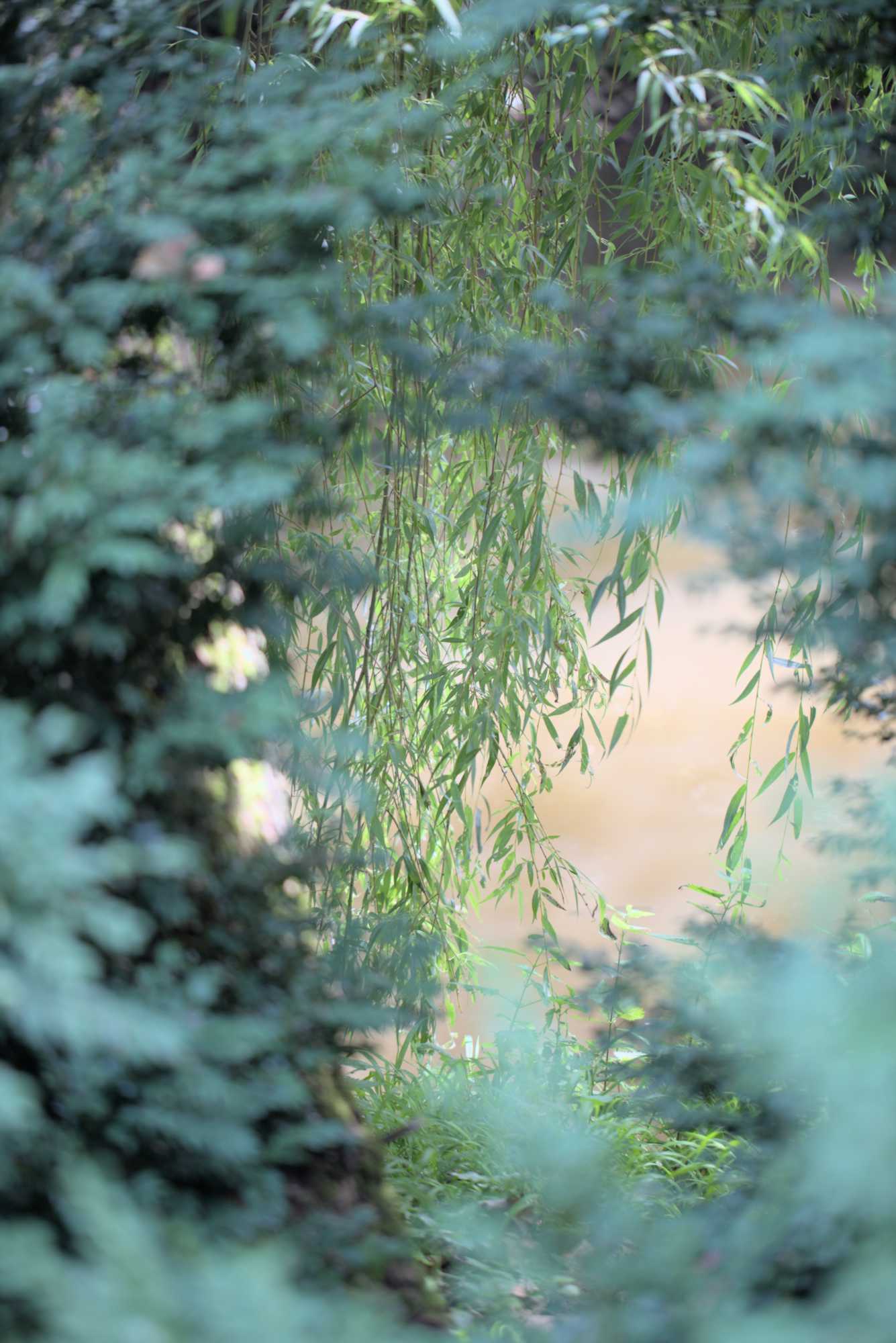 Lokation: Deutschland | Nordrhein-Westfalen | Neuss | Museum Insel Hombroich Kategorien: Museum, Datum: 21.06.2019