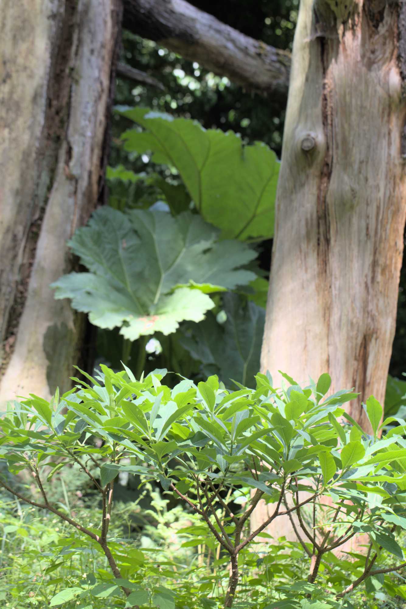 Lokation: Deutschland | Nordrhein-Westfalen | Neuss | Museum Insel Hombroich Kategorien: Museum, Datum: 21.06.2019