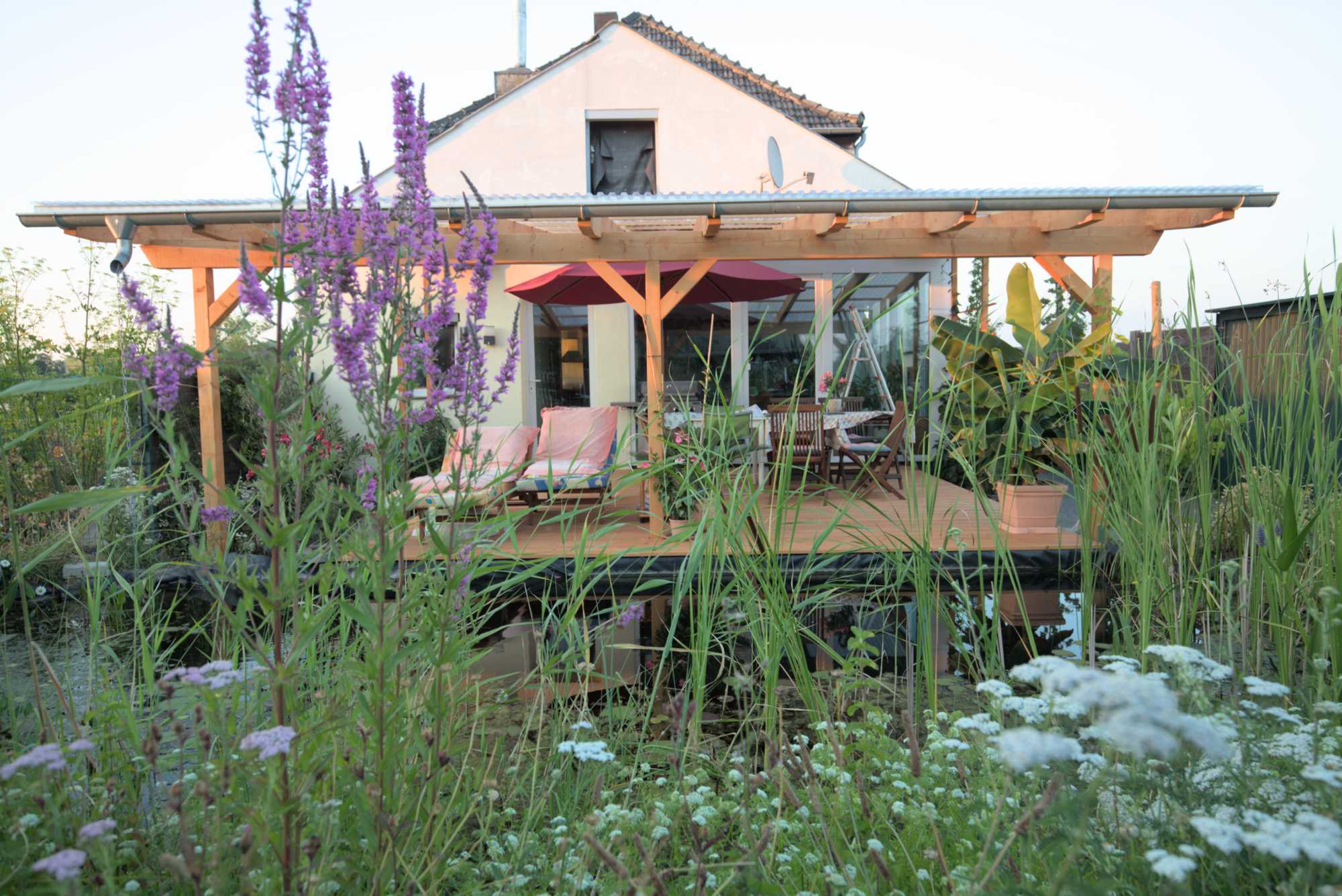 Lokation: Deutschland | Nordrhein-Westfalen | Heinsberg | Wassenberg Kategorien: Haus, Hortus rusticus, Datum: 05.07.2019