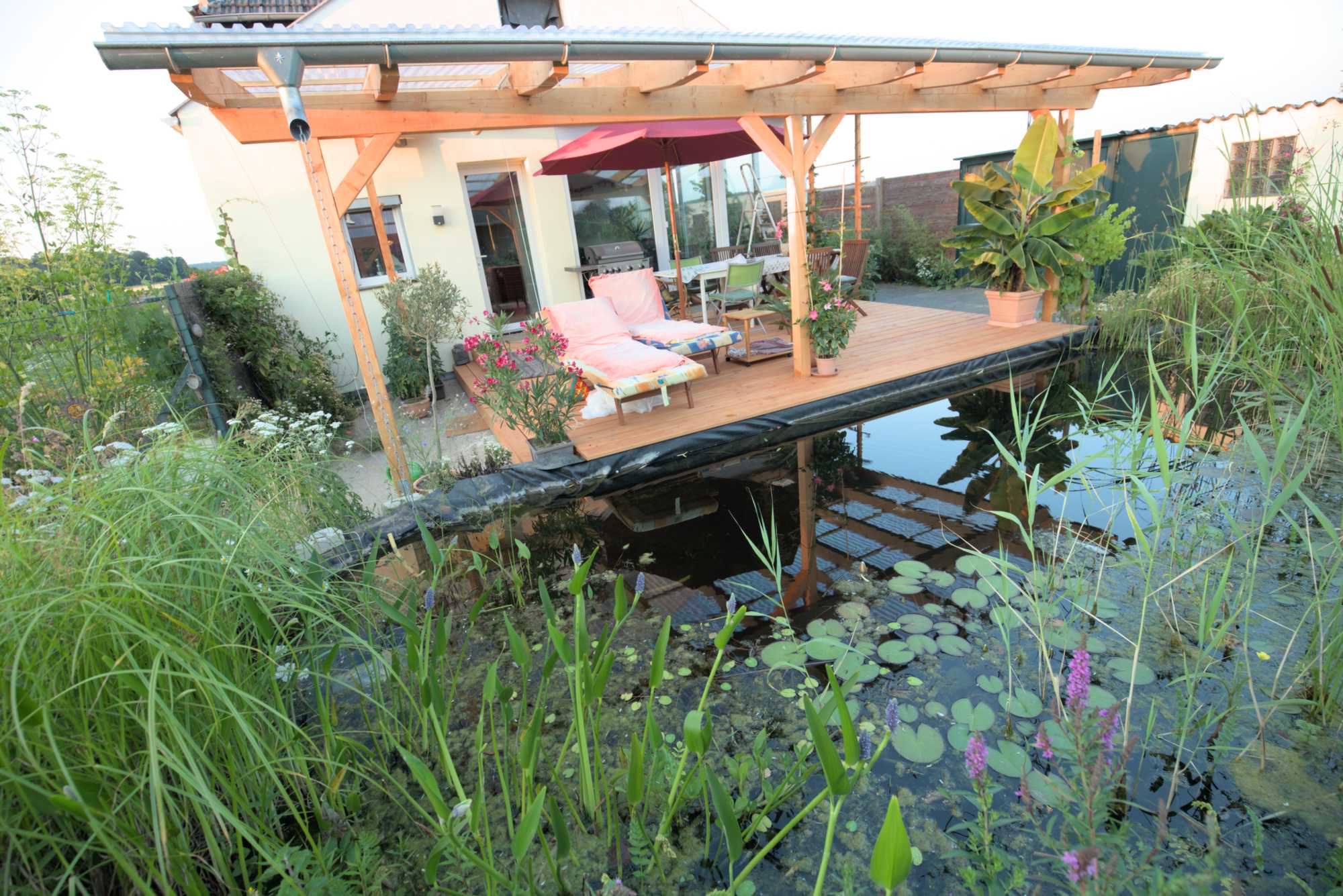 Lokation: Deutschland | Nordrhein-Westfalen | Heinsberg | Wassenberg Kategorien: Haus, Hortus rusticus, Datum: 05.07.2019