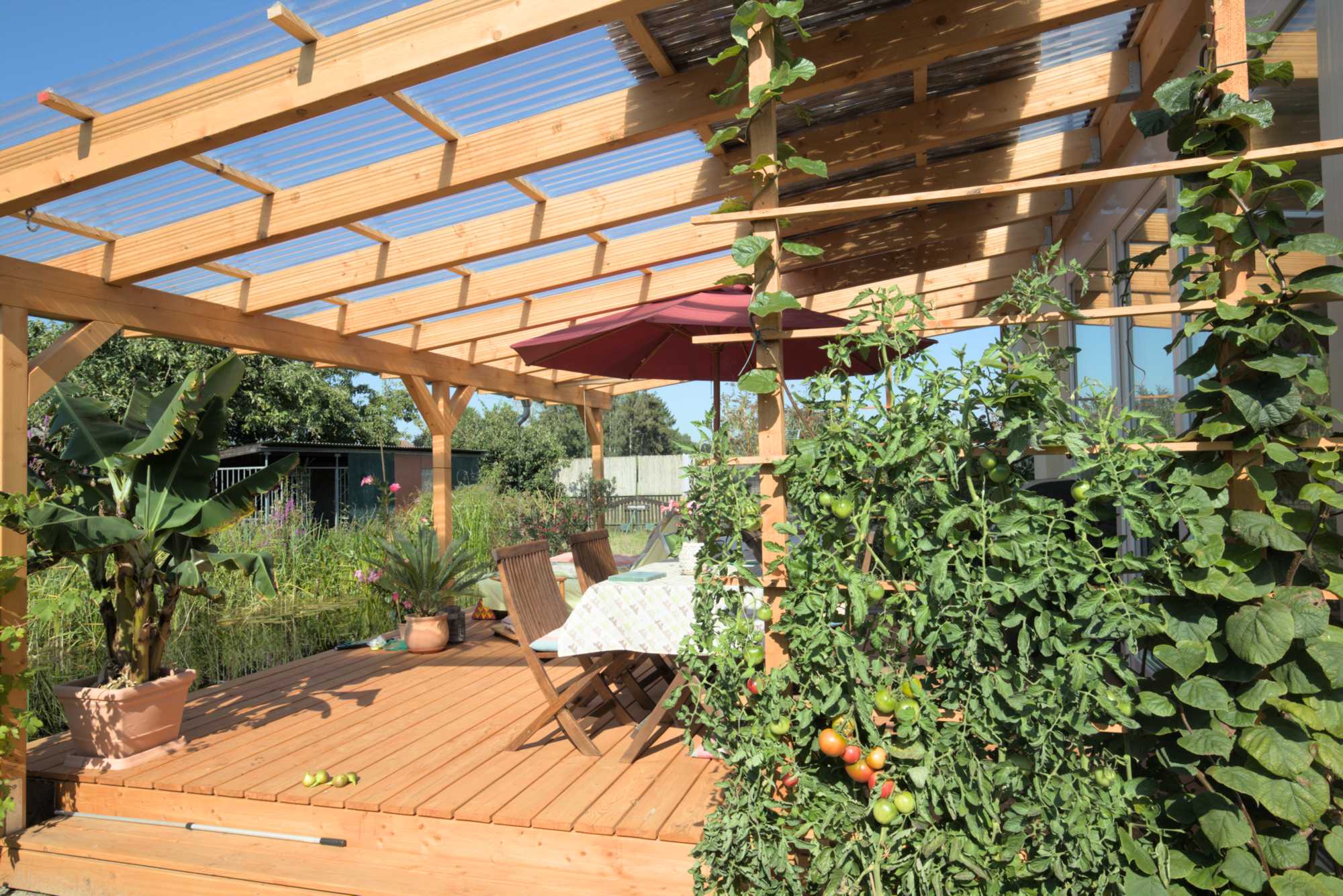 Lokation: Deutschland | Nordrhein-Westfalen | Heinsberg | Wassenberg Kategorien: Haus, Hortus rusticus, Datum: 24.08.2019