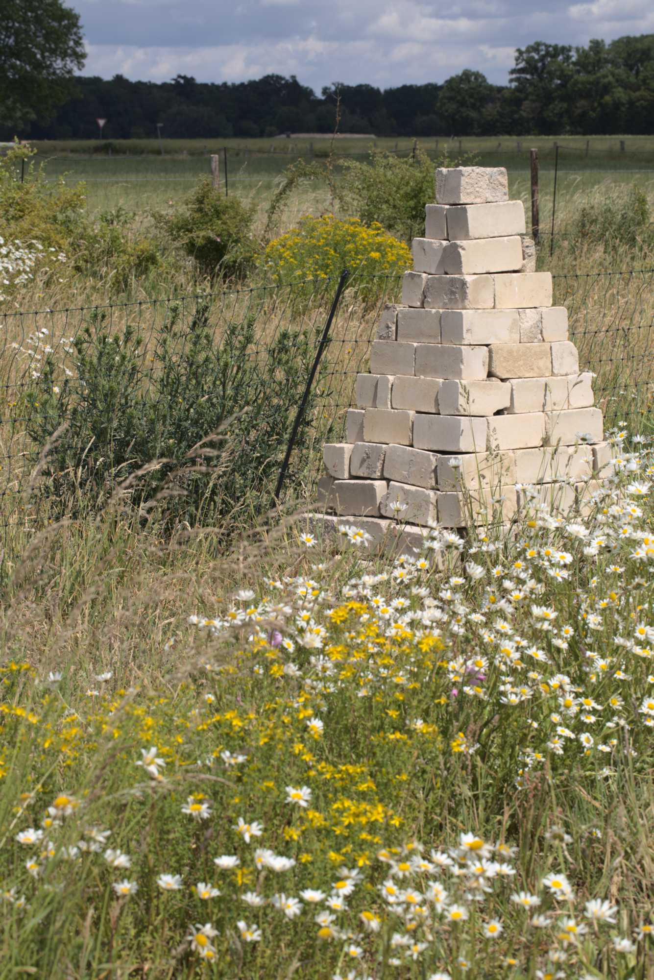 Lokation: Deutschland | Nordrhein-Westfalen | Heinsberg | Wassenberg Kategorien: Naturgarten, Wiese, Hortus rusticus, Landhausgarten, Datum: 06.06.2020