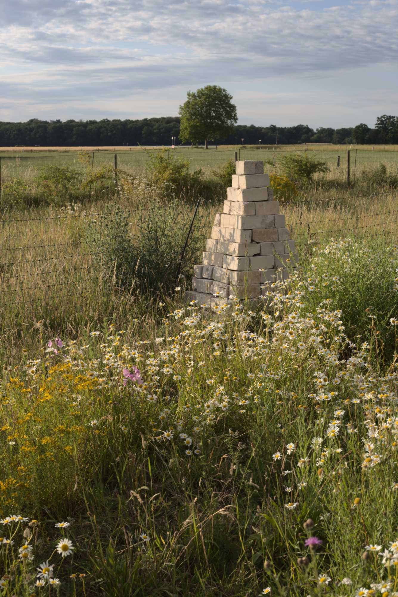 Lokation: Deutschland | Nordrhein-Westfalen | Heinsberg | Wassenberg Kategorien: Naturgarten, Wiese, Hortus rusticus, Landhausgarten, Datum: 13.06.2020