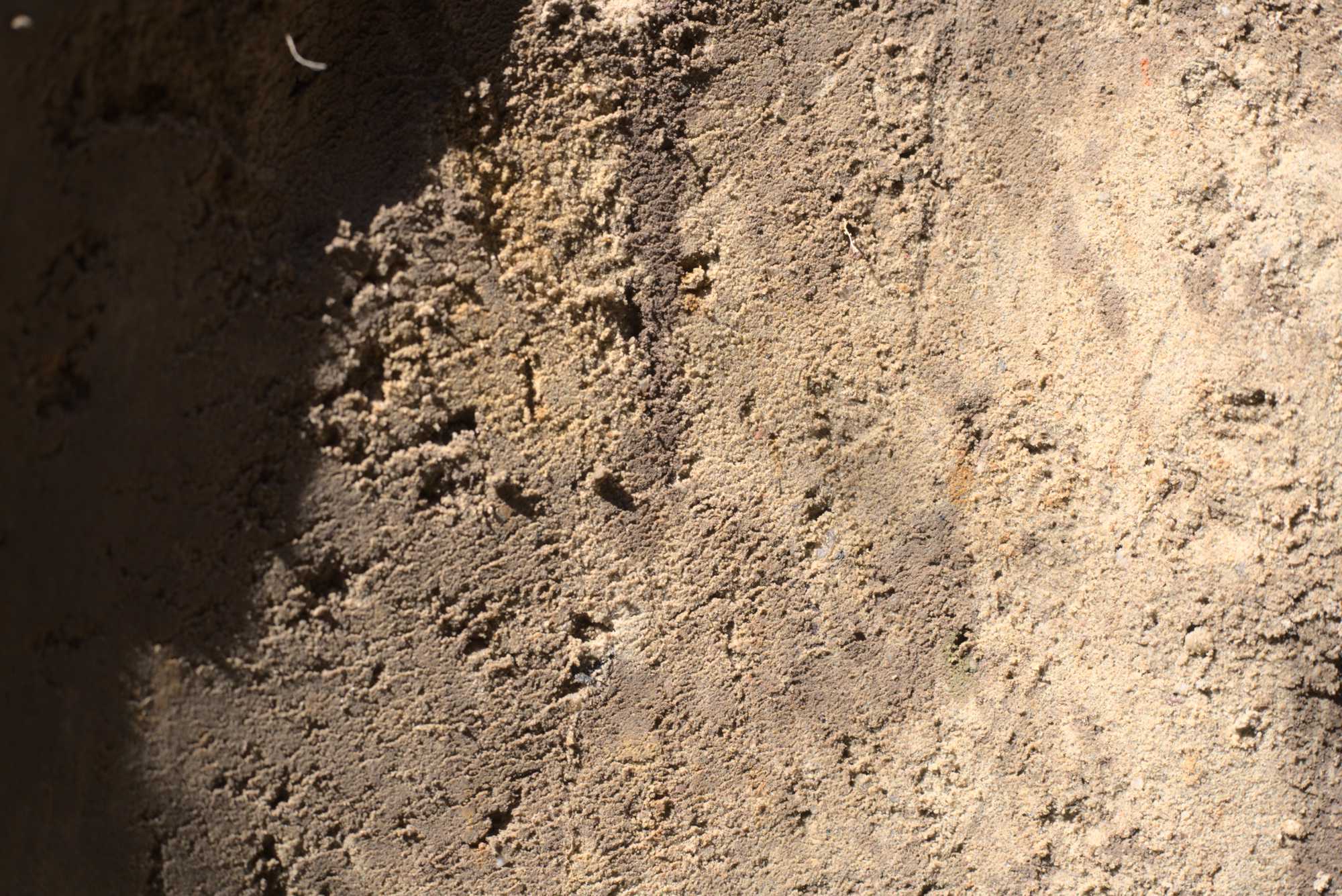 Lokation: Deutschland | Nordrhein-Westfalen | Heinsberg | Wassenberg Kategorien: Bau, Hortus rusticus, Datum: 31.03.2021