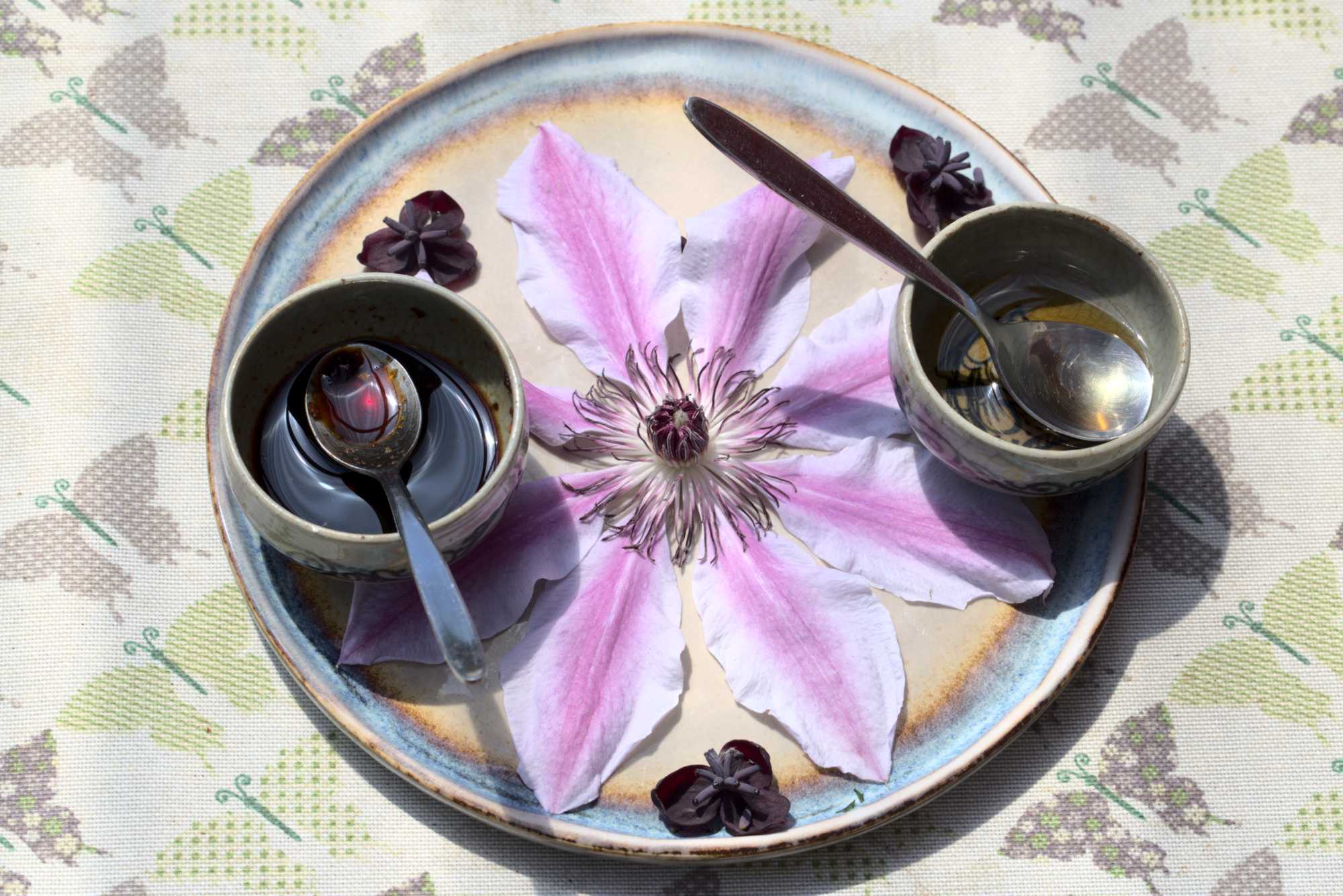 Lokation: Deutschland | Nordrhein-Westfalen | Heinsberg | Wassenberg Kategorien: Essen, Hortus rusticus, Datum: 30.05.2021